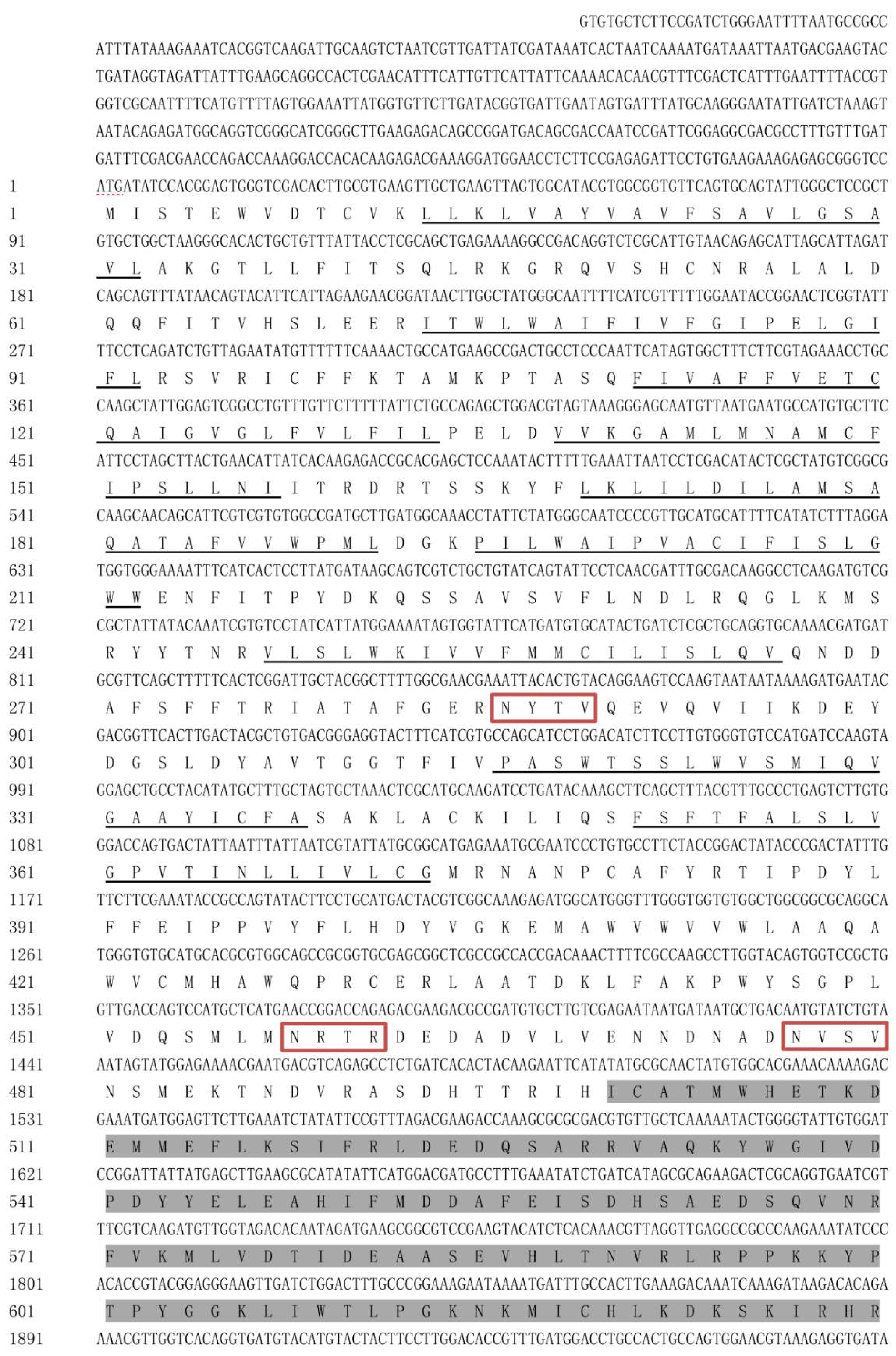 Preprints 74998 g001