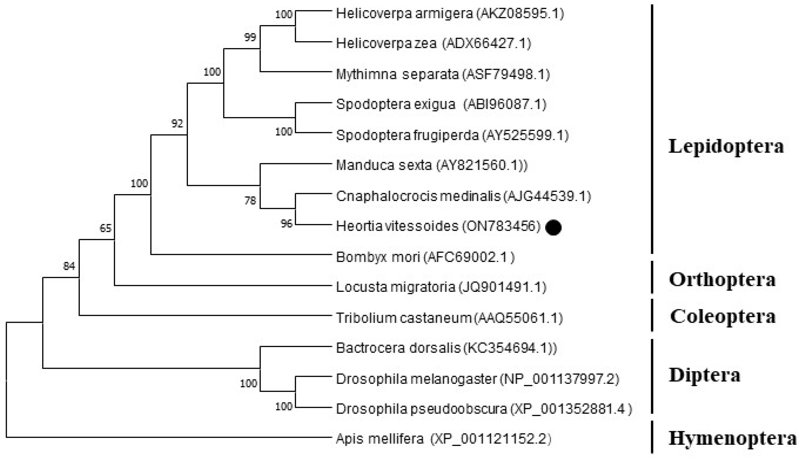 Preprints 74998 g003