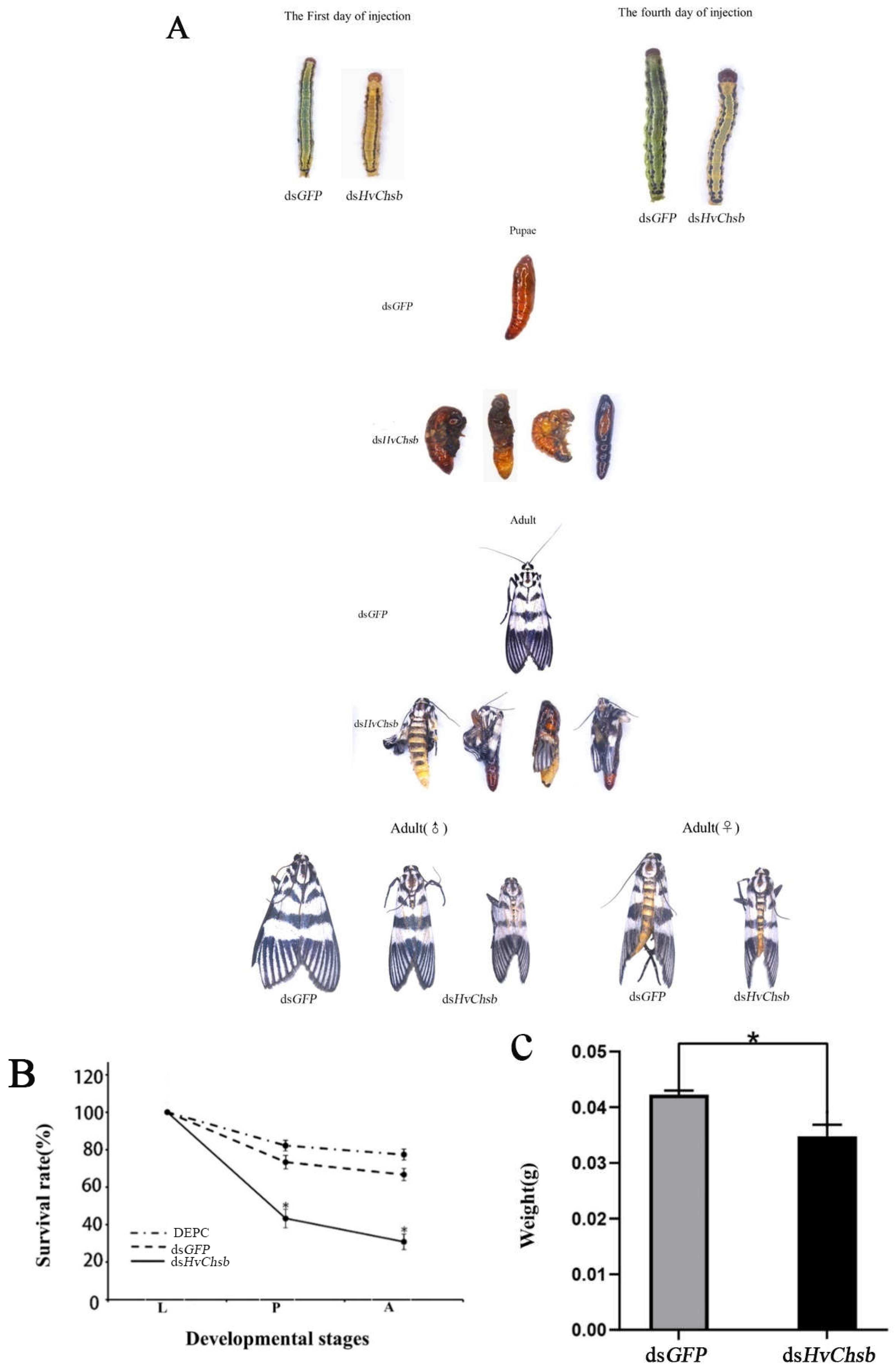 Preprints 74998 g008