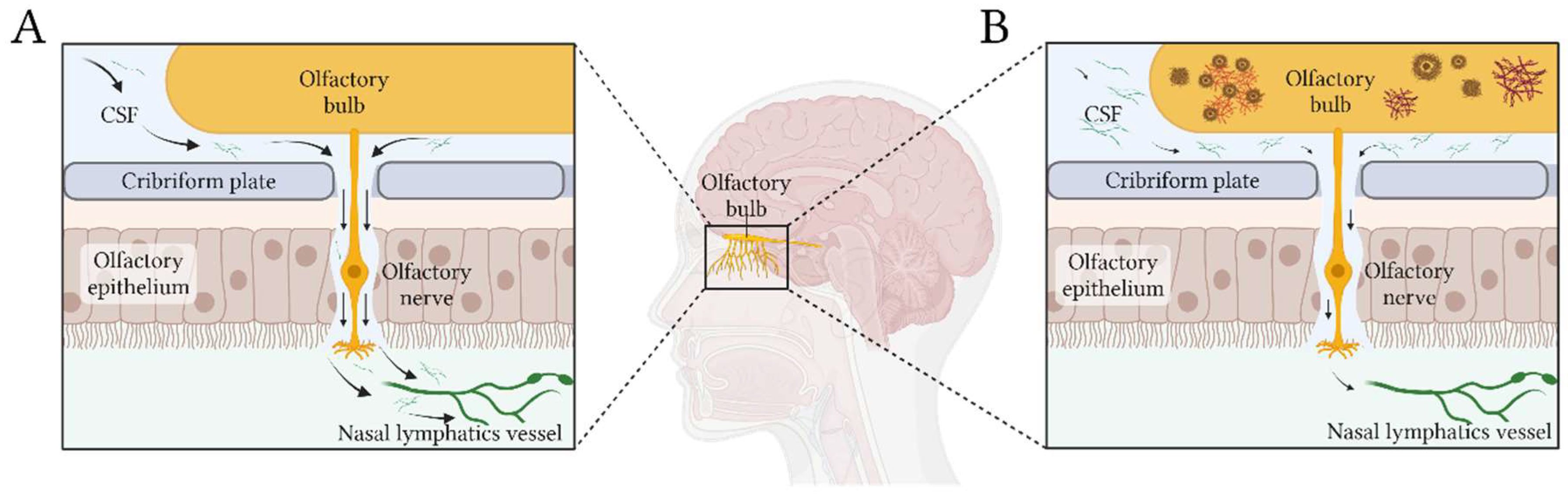 Preprints 149036 g001