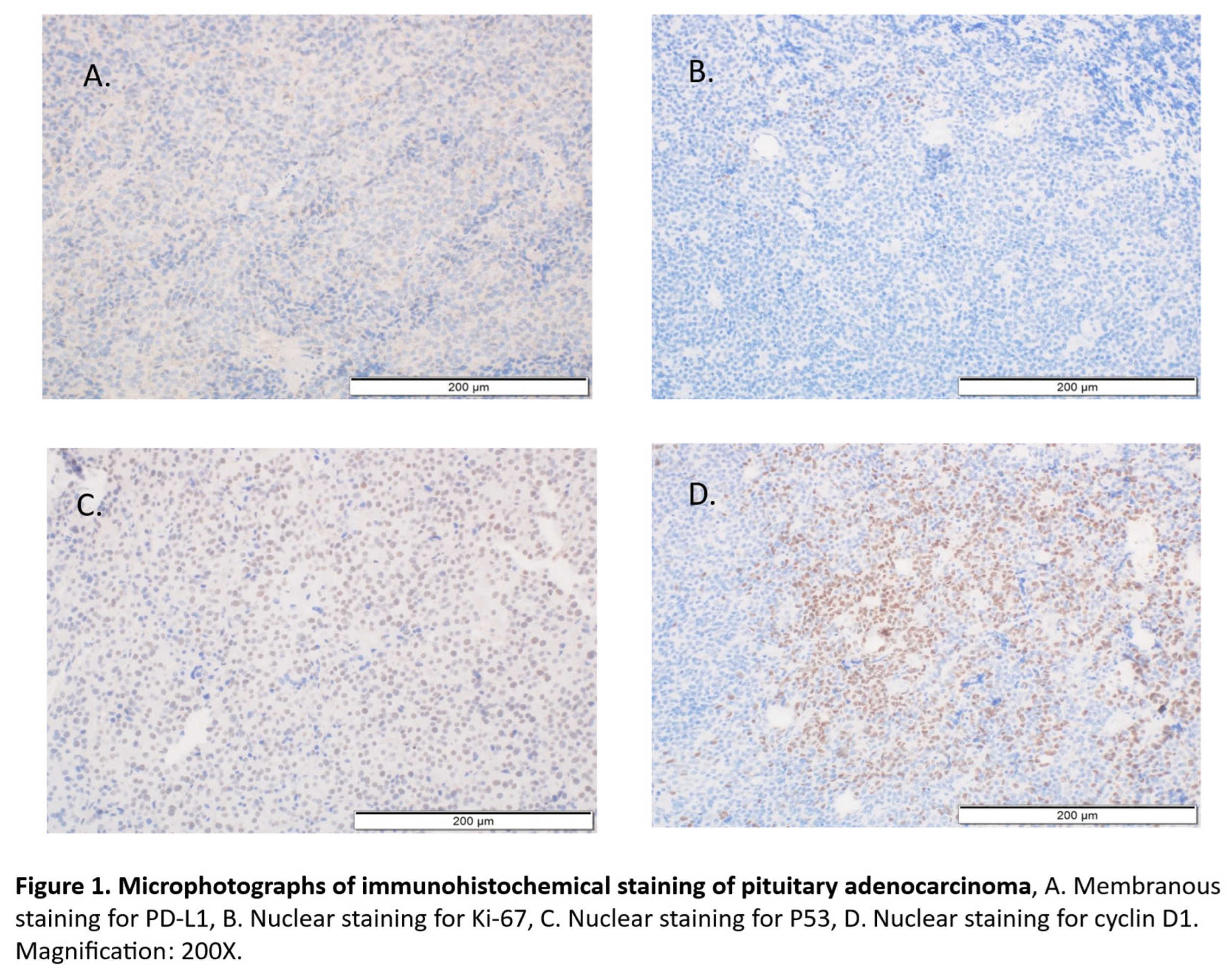 Preprints 167219 g001