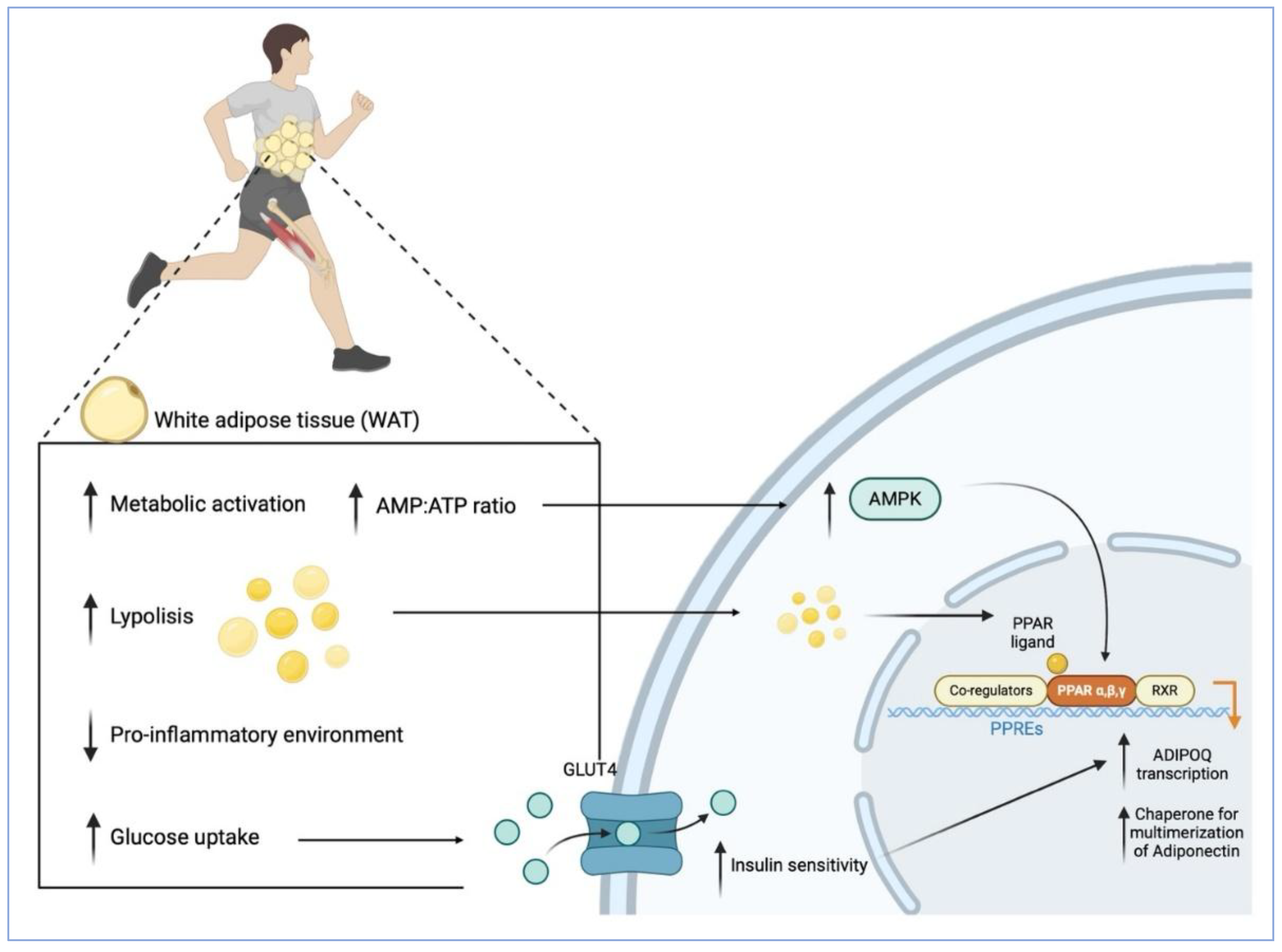 Preprints 179287 g001