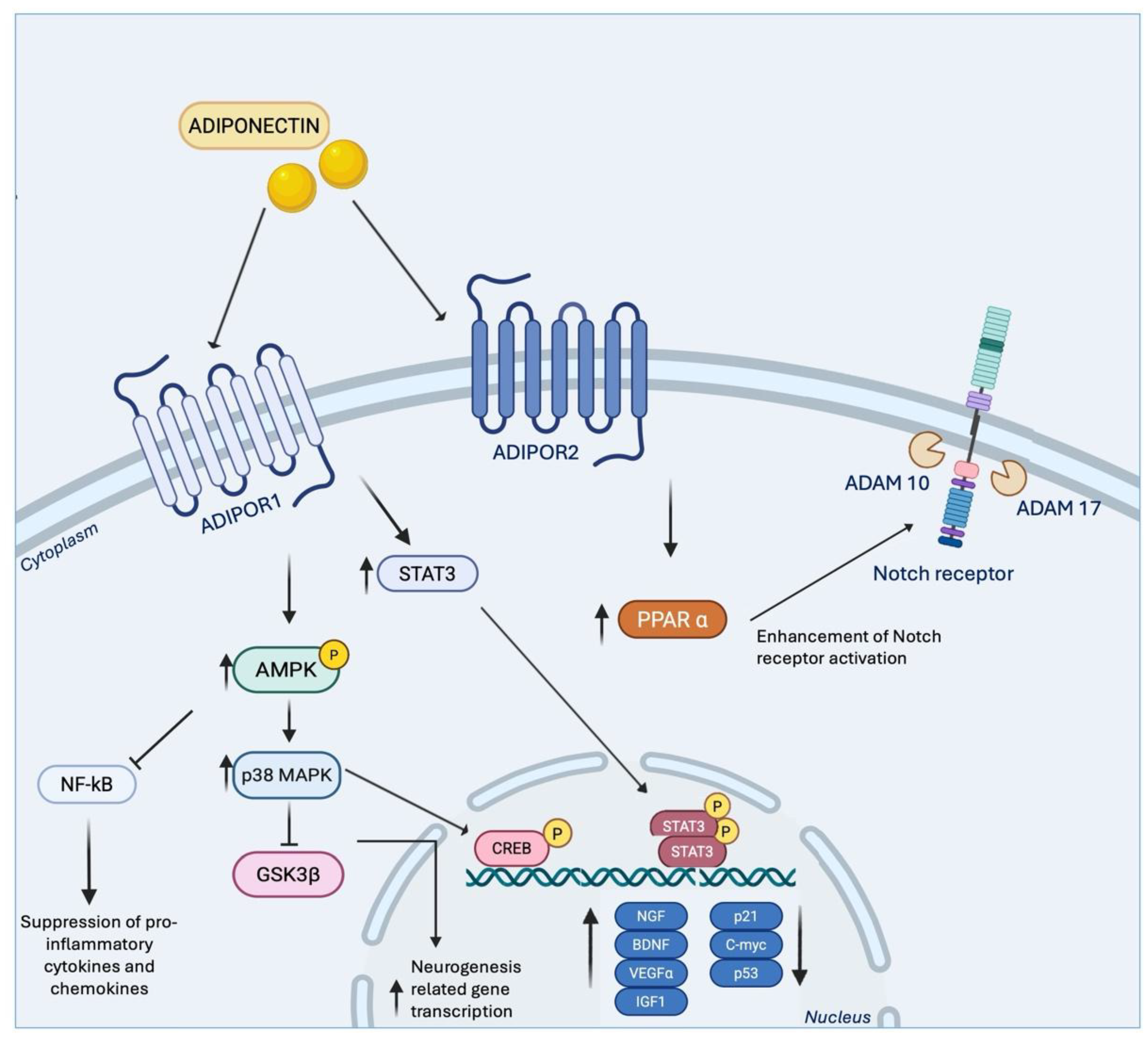 Preprints 179287 g002