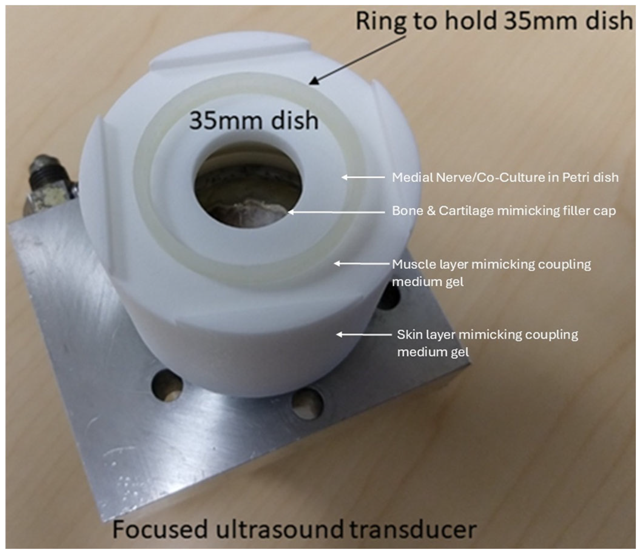 Preprints 167718 g002