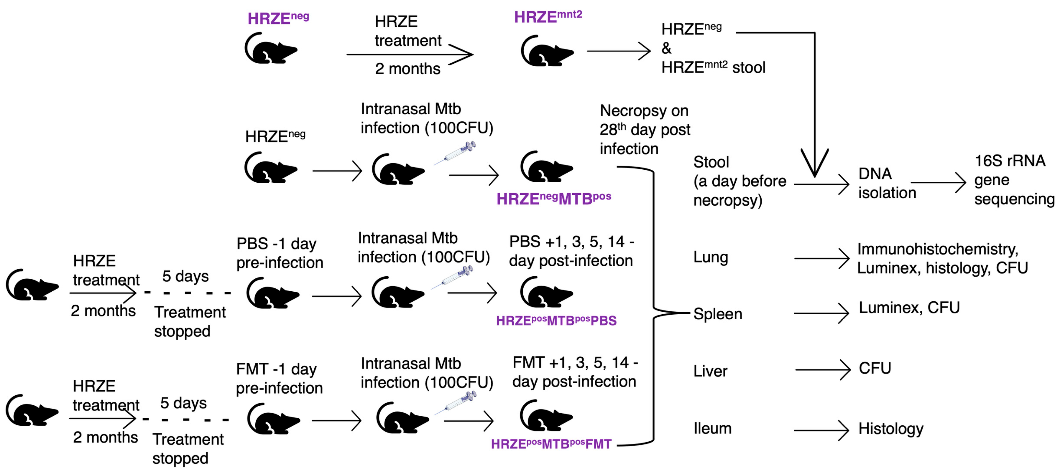 Preprints 182728 g001
