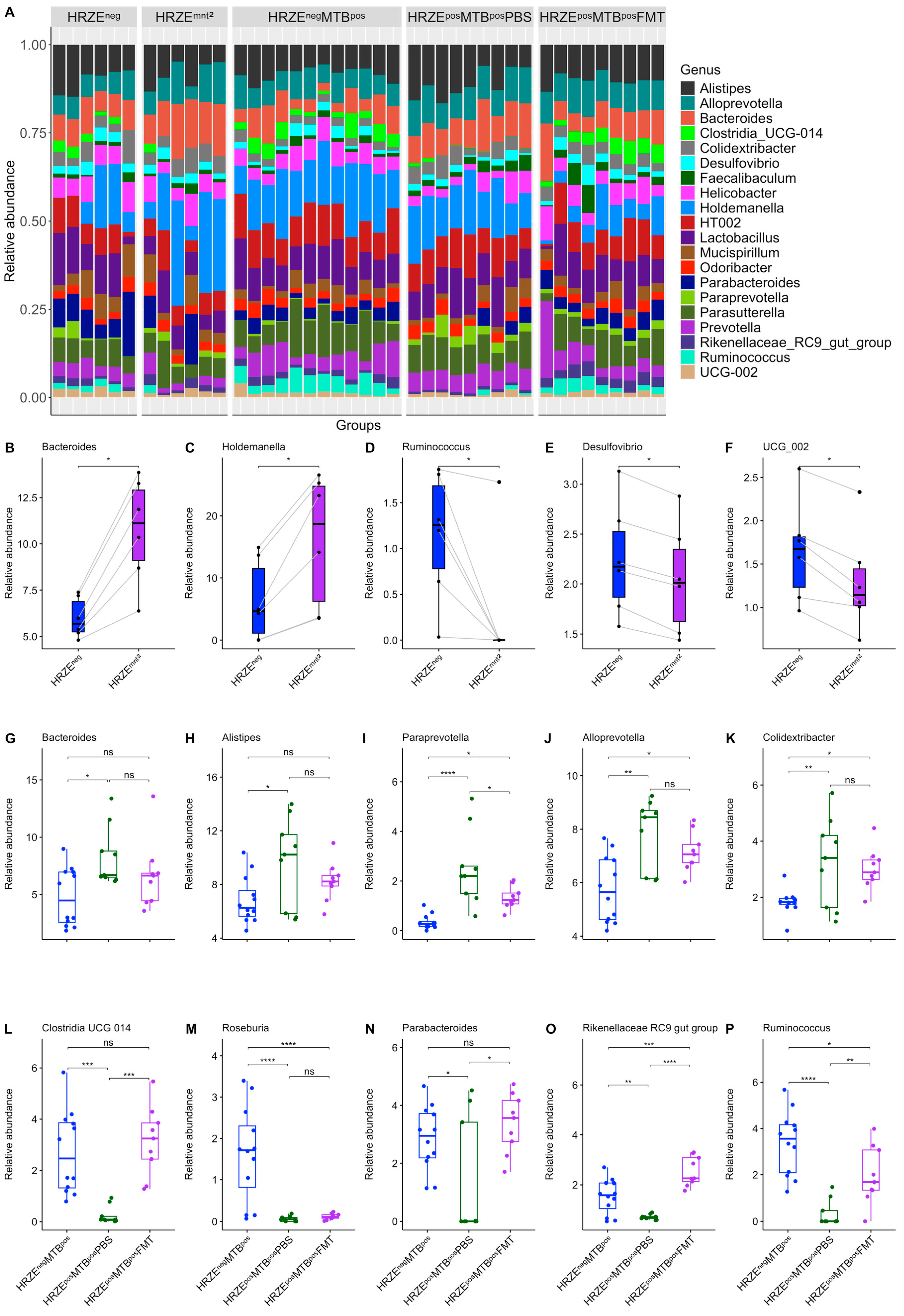 Preprints 182728 g003