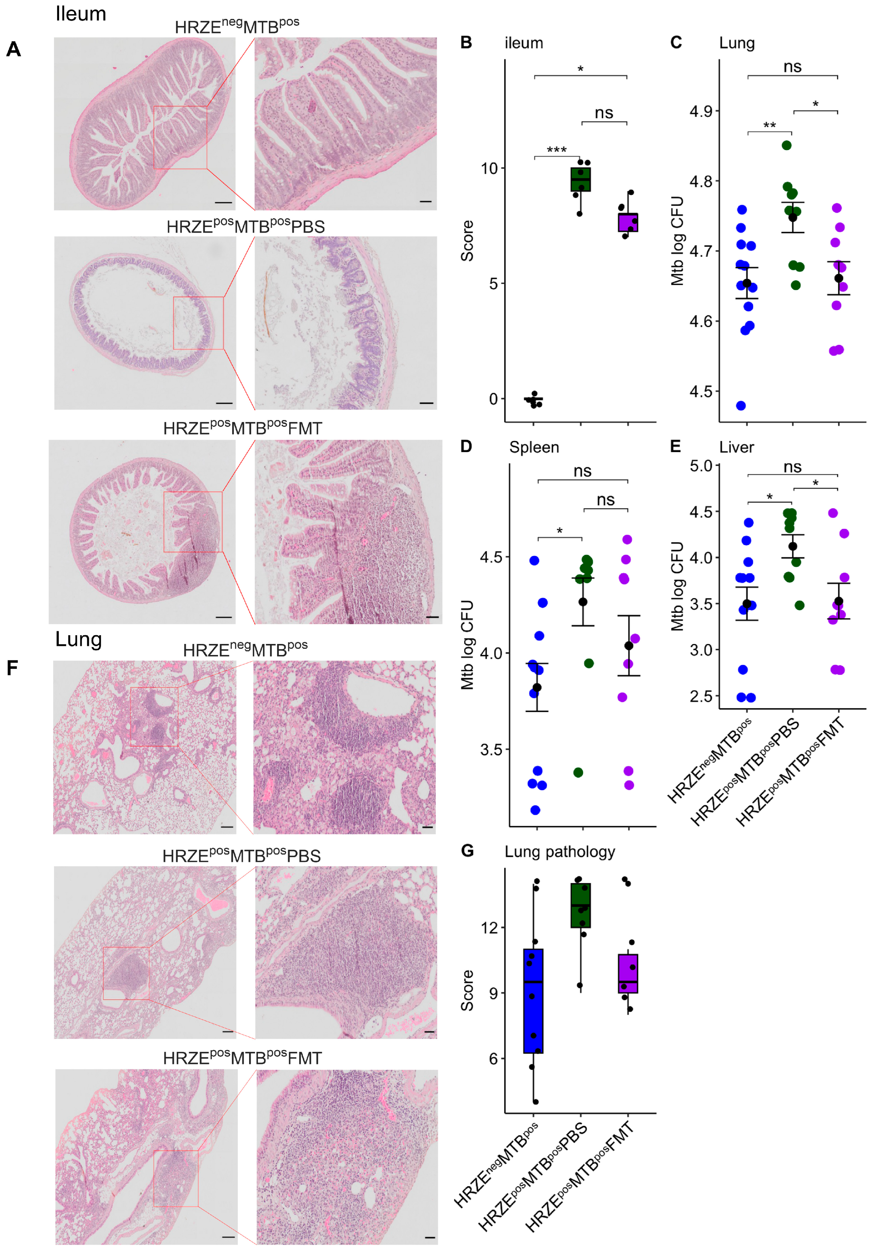 Preprints 182728 g004