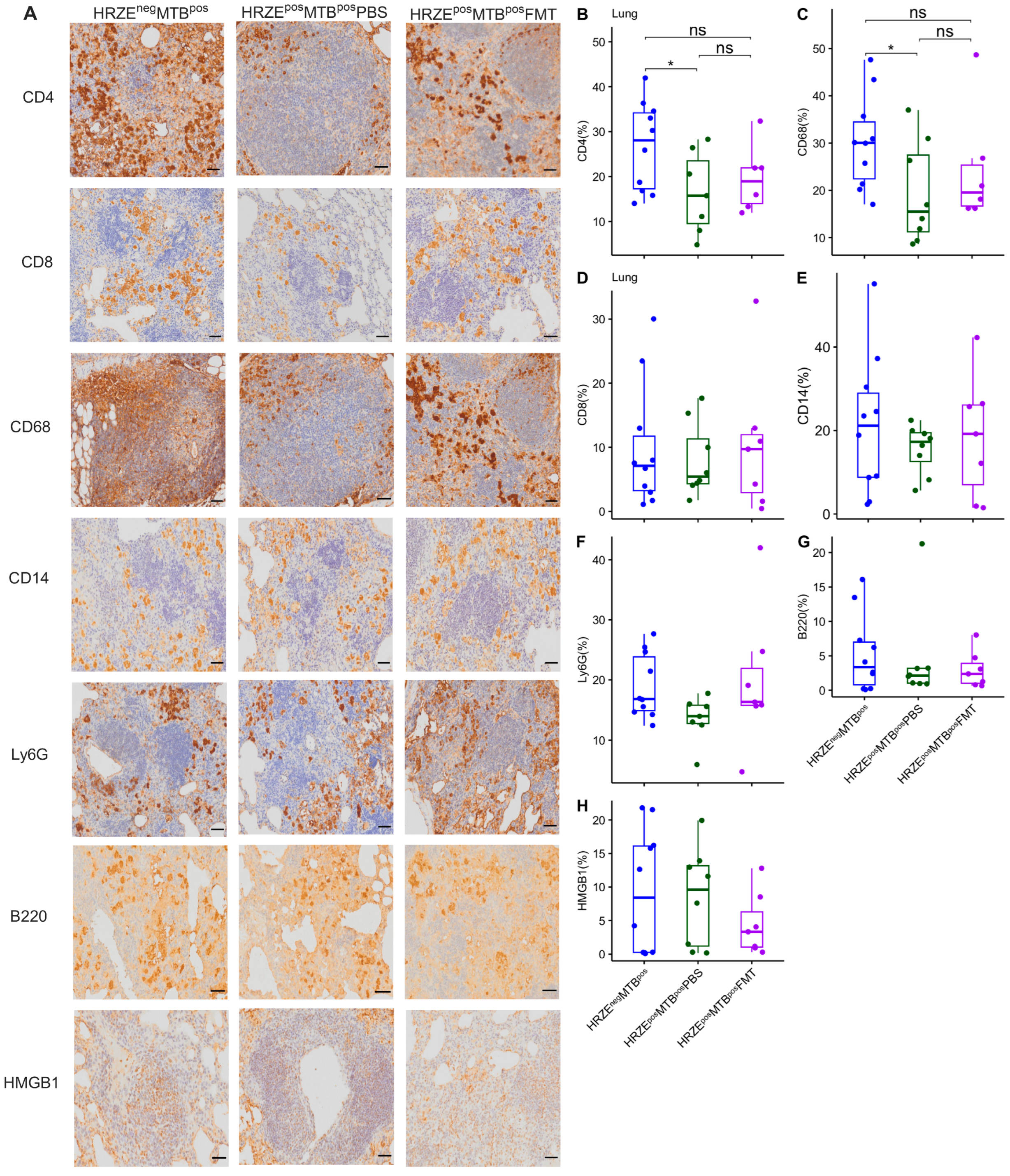 Preprints 182728 g005