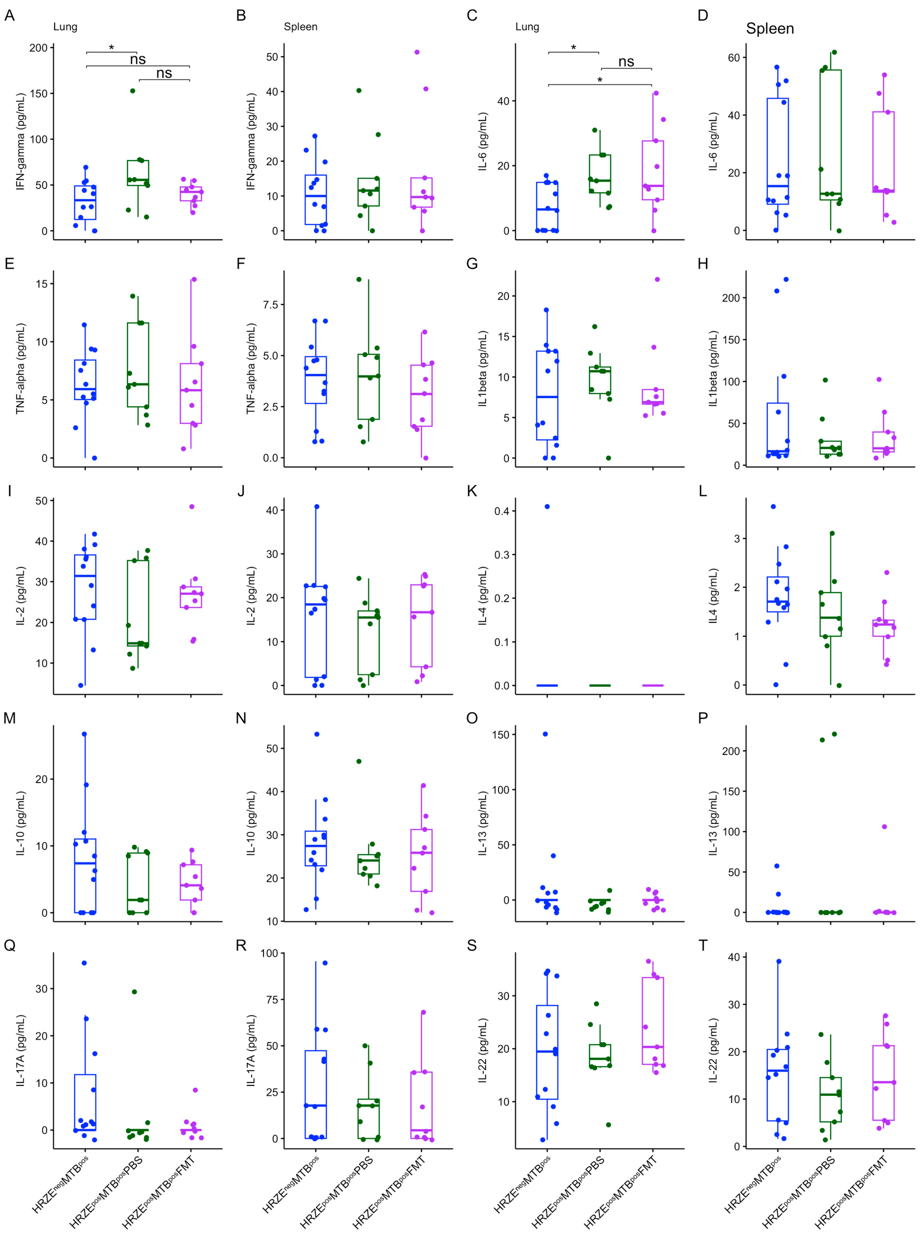 Preprints 182728 g006