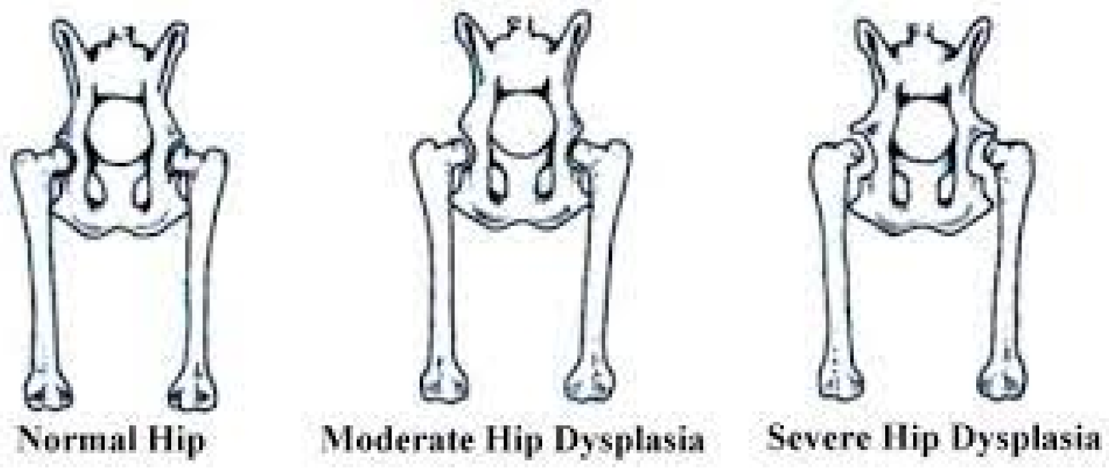 Preprints 112826 g001