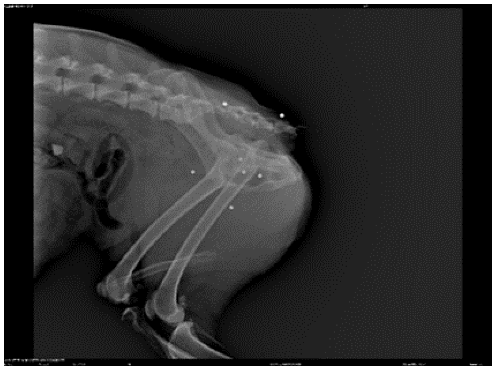 Preprints 112826 g002