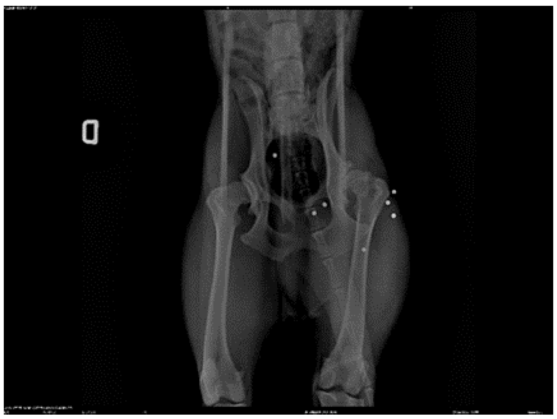 Preprints 112826 g003