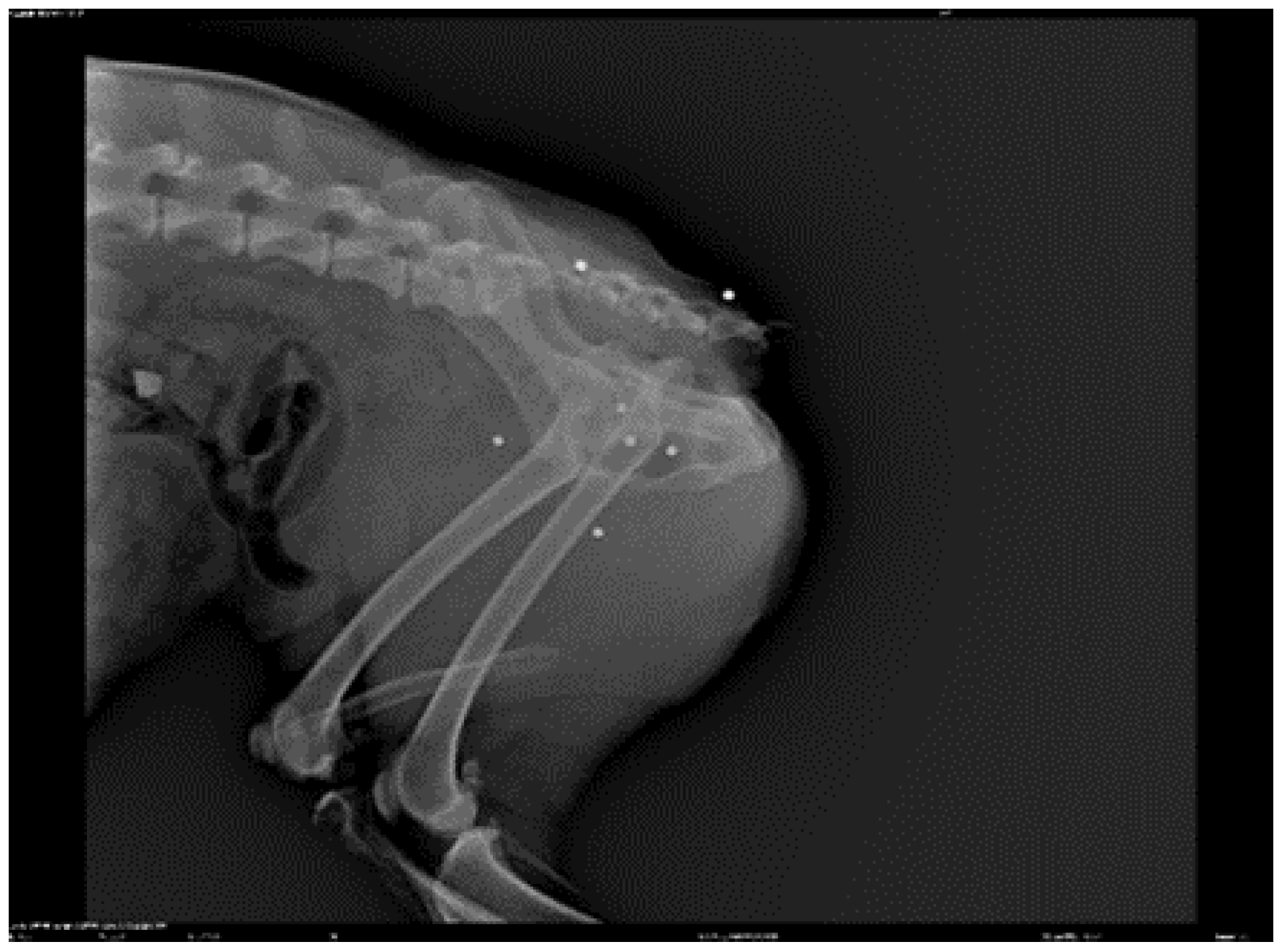 Preprints 112826 g004