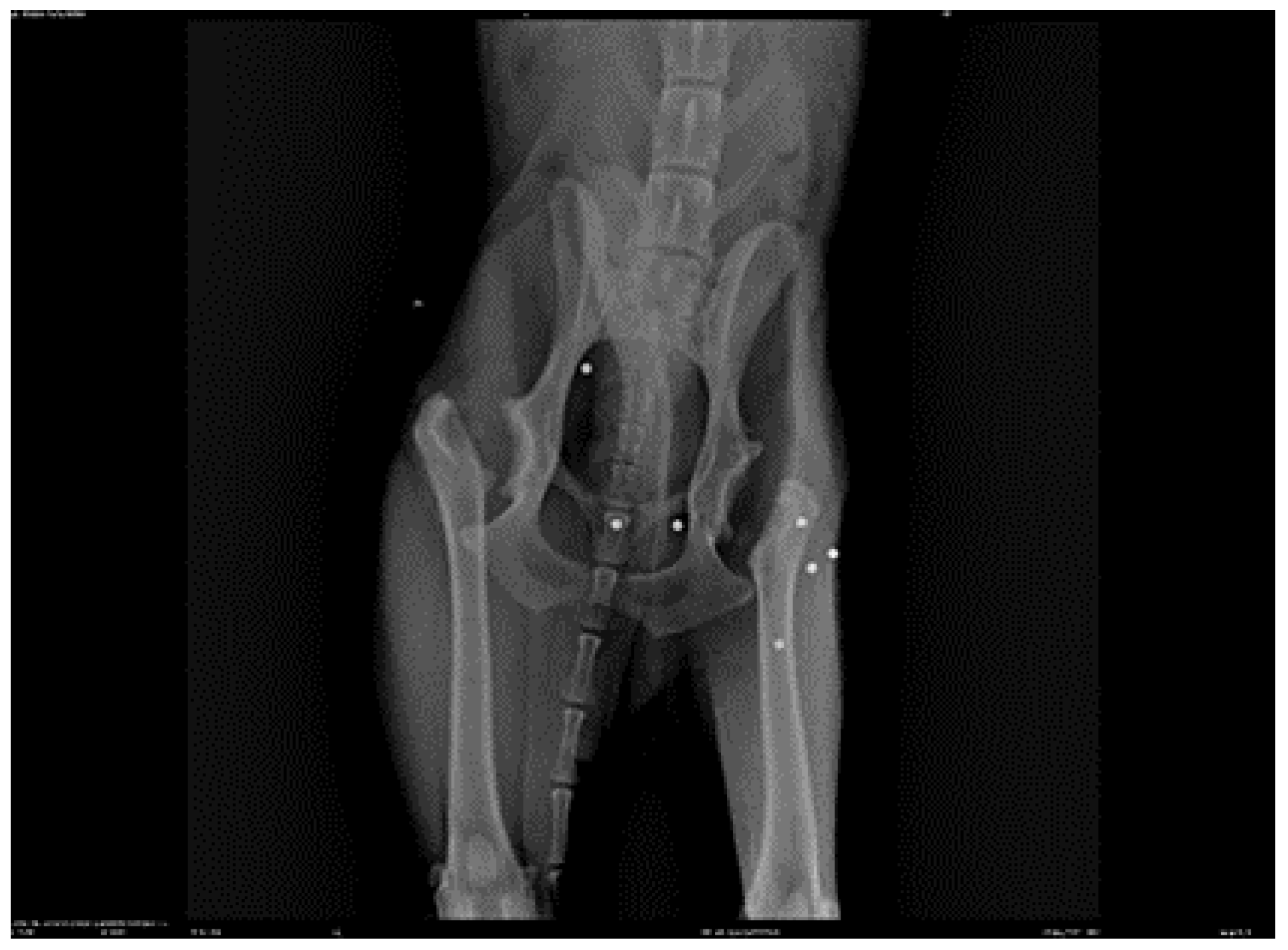 Preprints 112826 g005