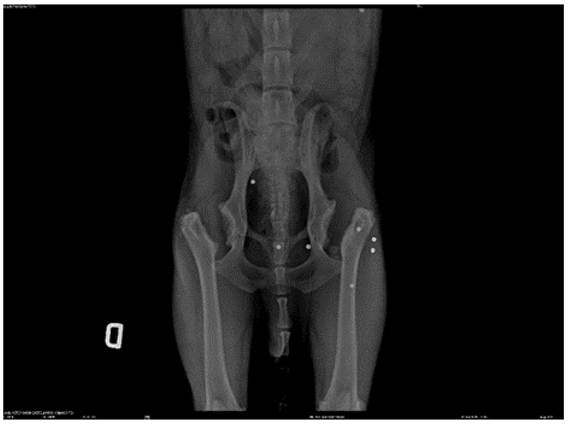 Preprints 112826 g006