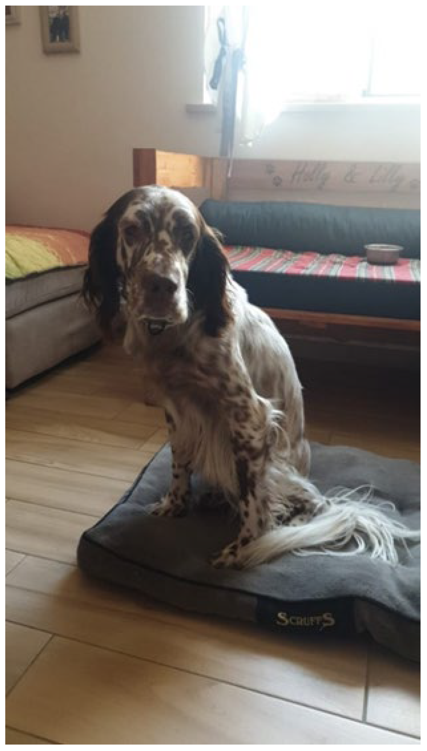 Preprints 112826 g007