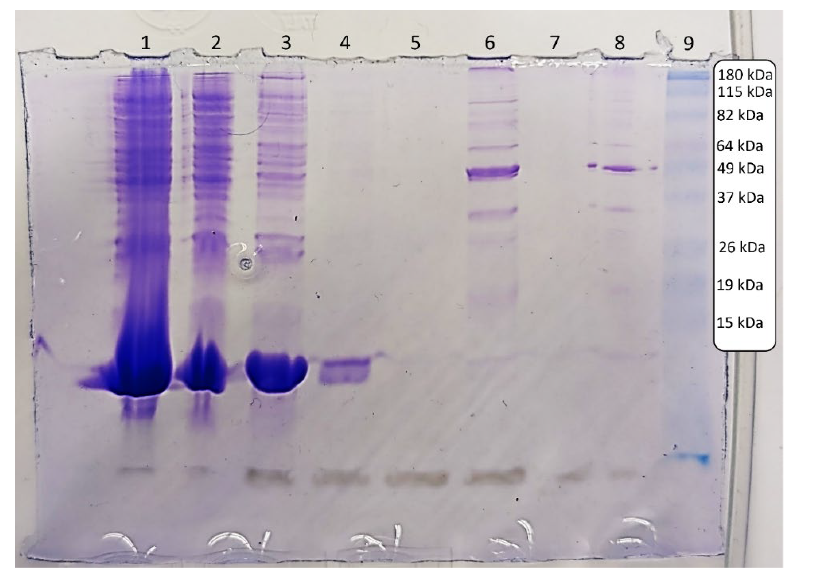 Preprints 112615 g002