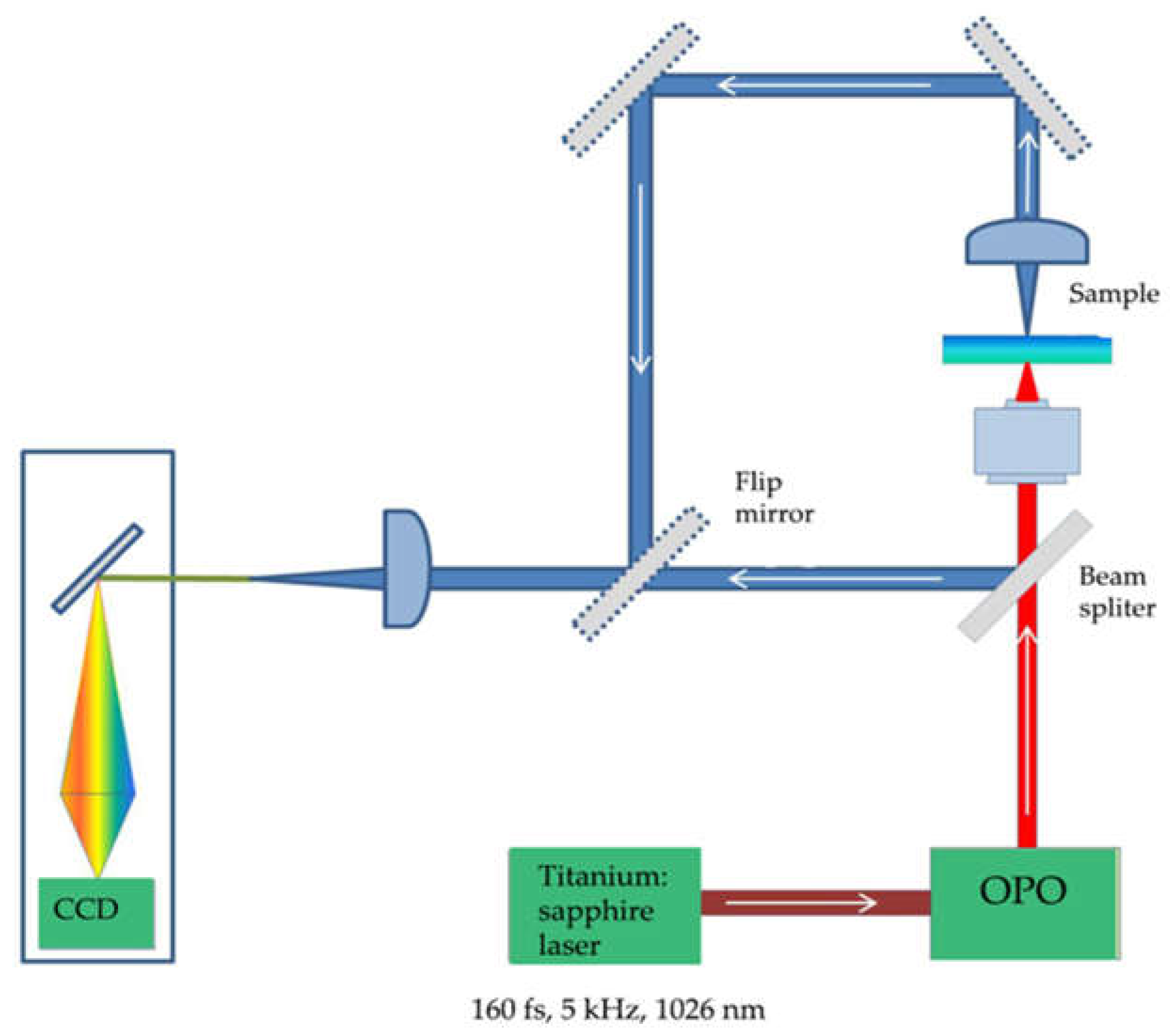 Preprints 72538 g001