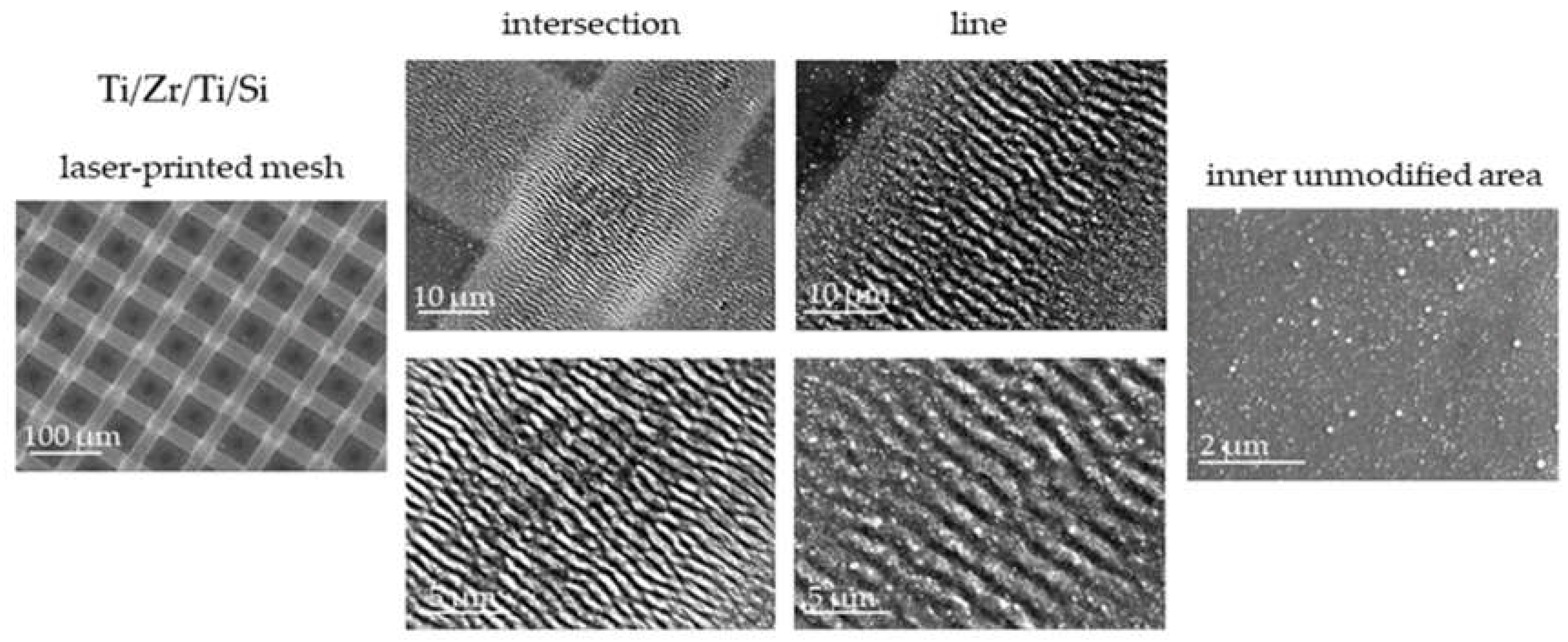 Preprints 72538 g002