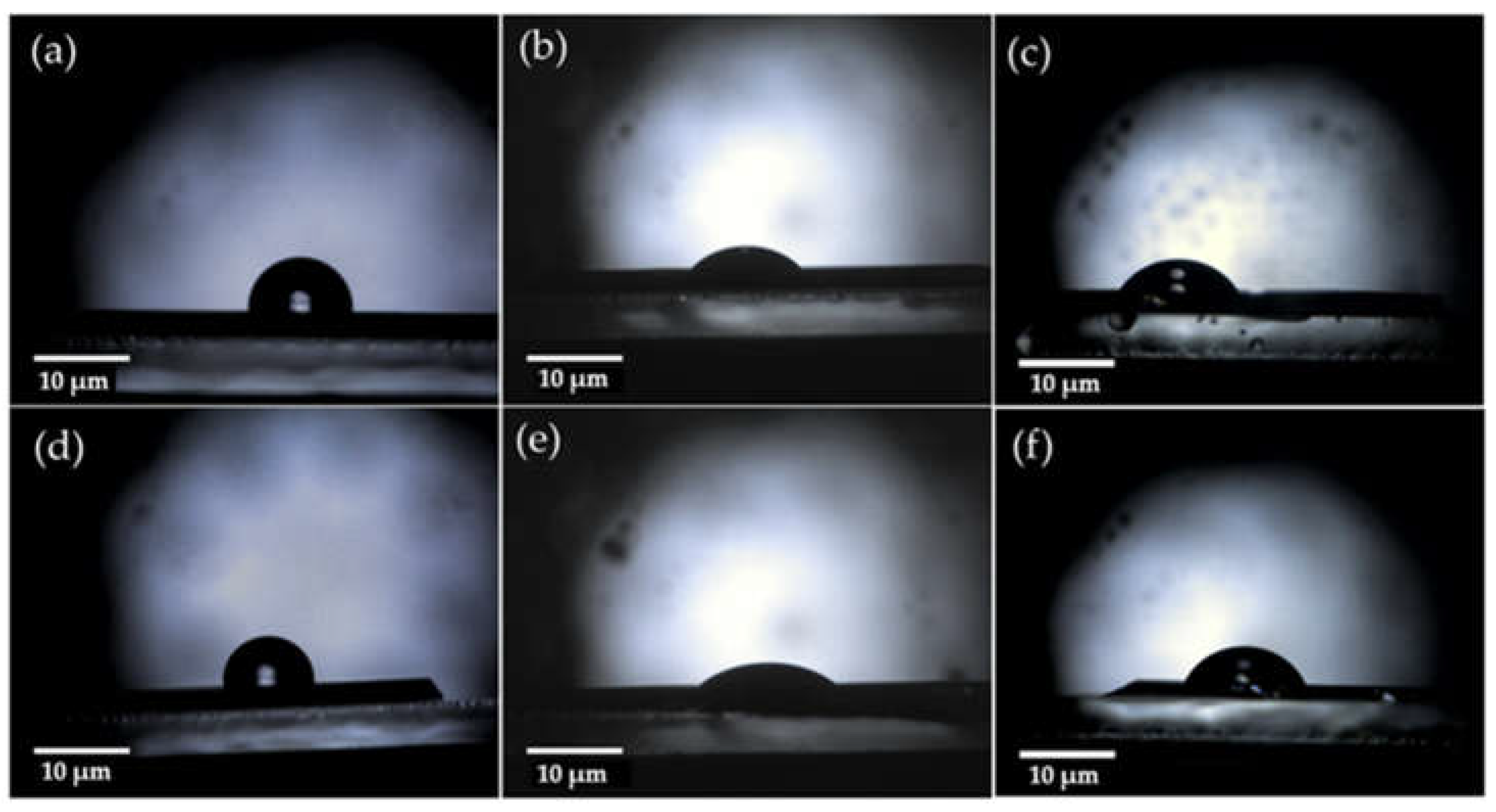Preprints 72538 g005