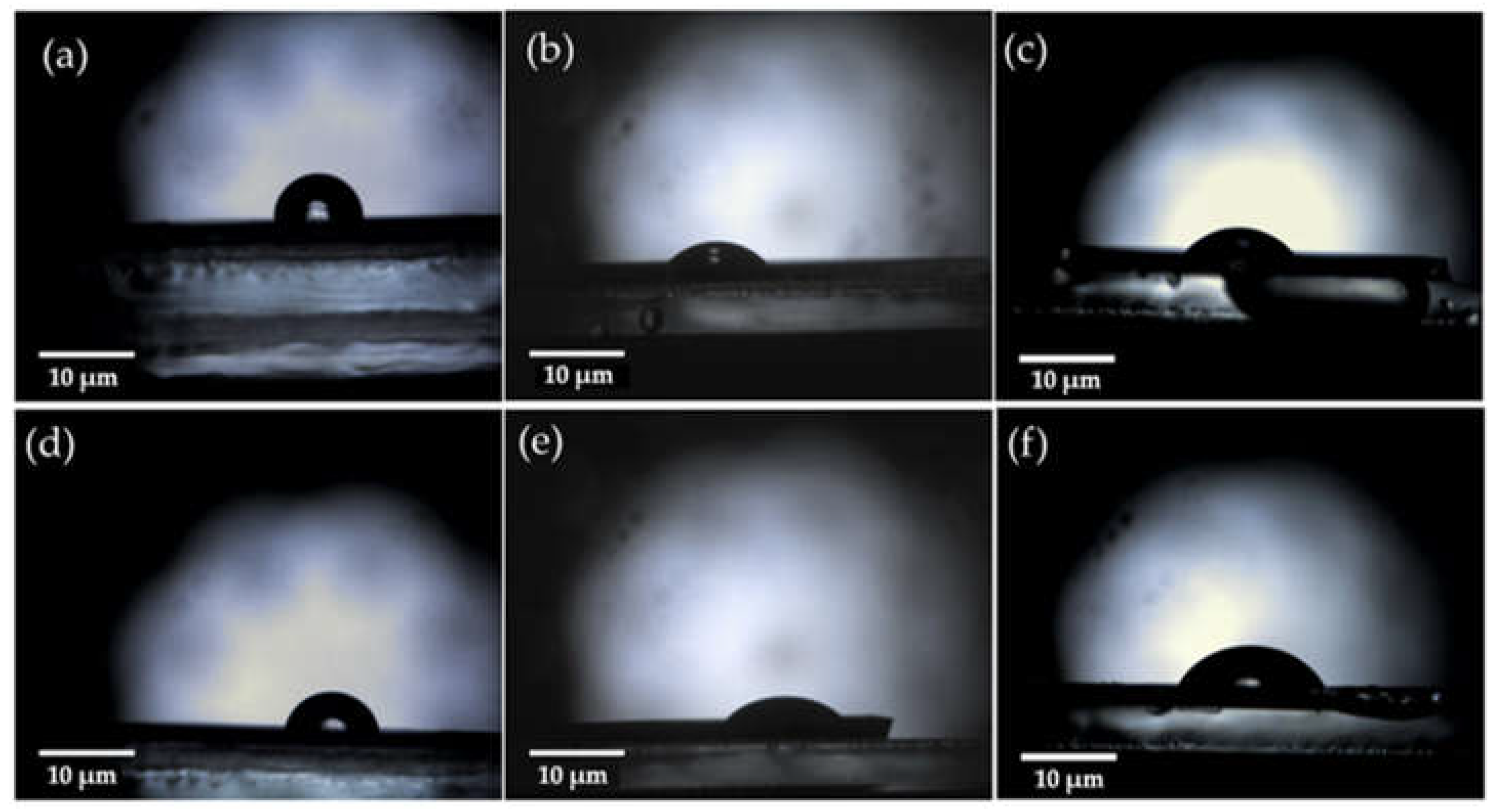 Preprints 72538 g006