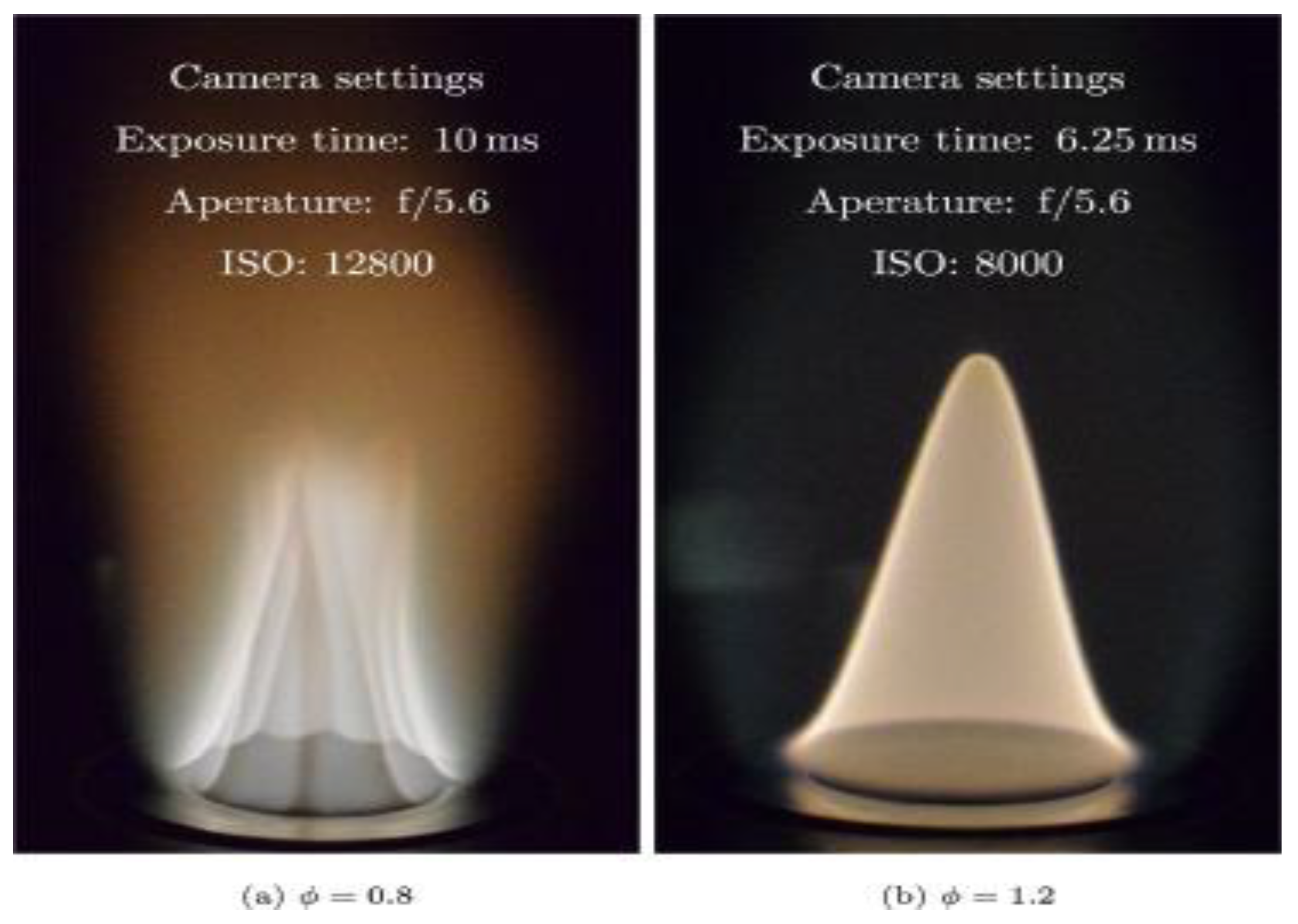 Preprints 187092 g013