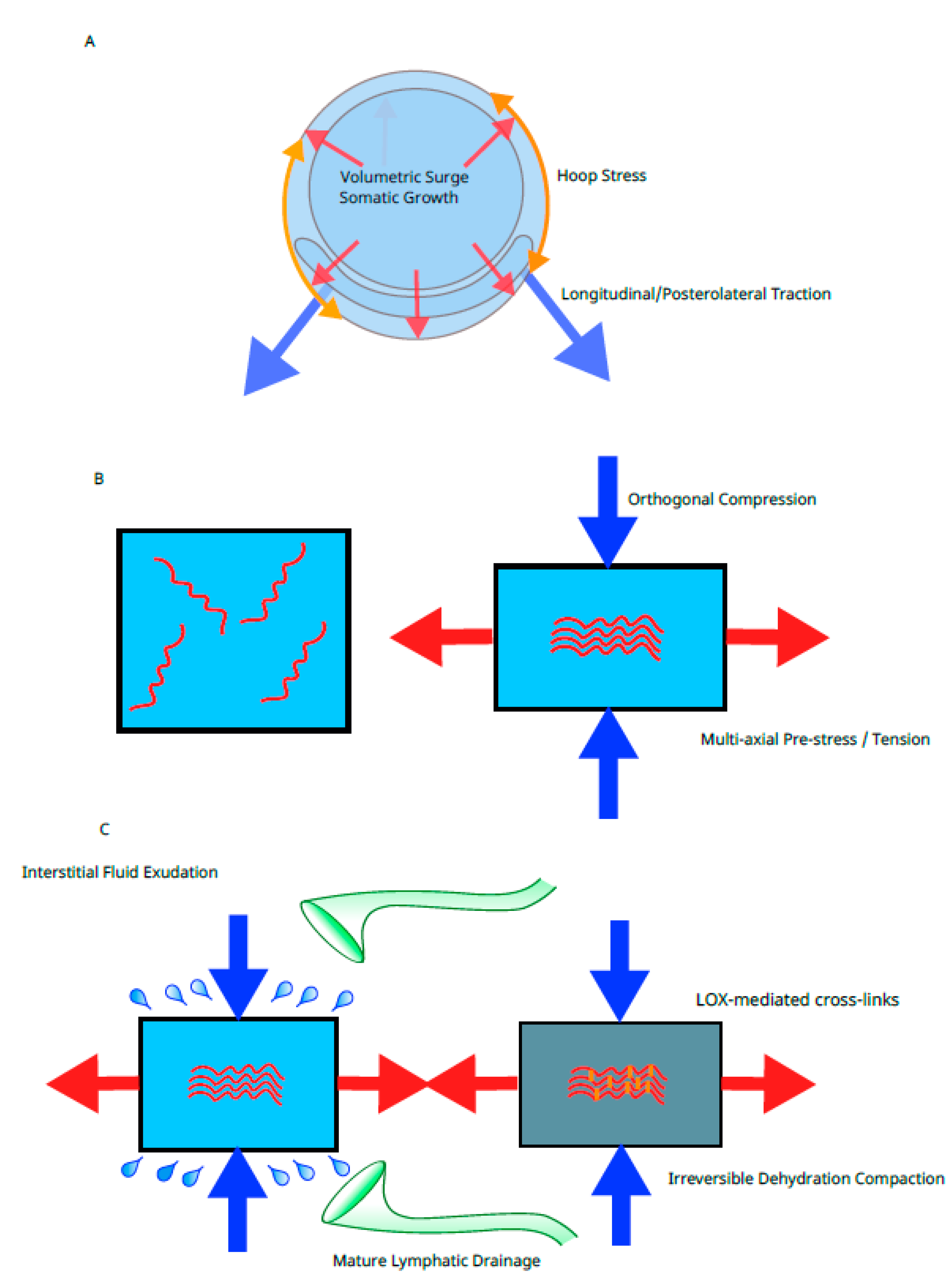 Preprints 206981 g003