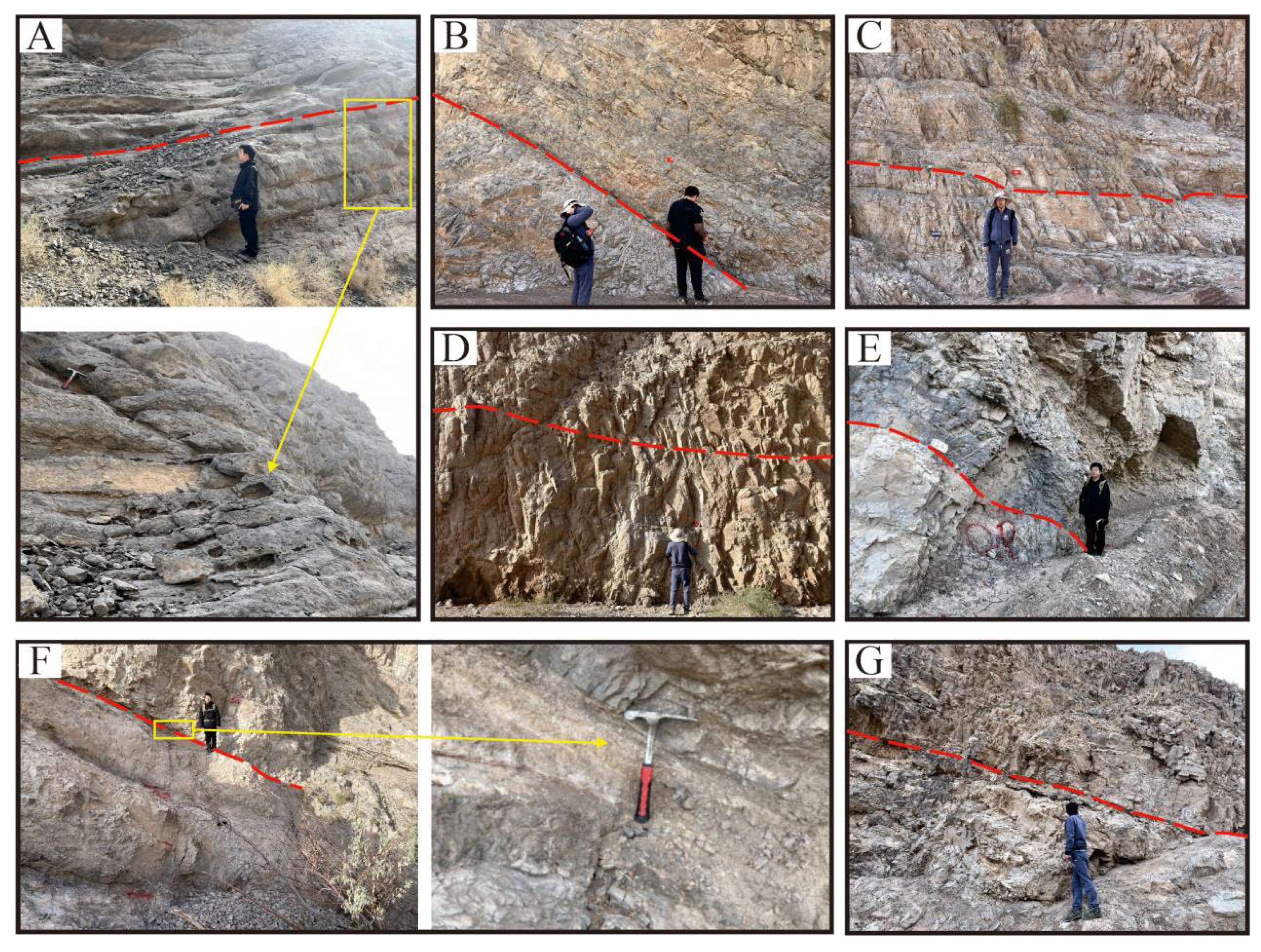 Preprints 186944 g006