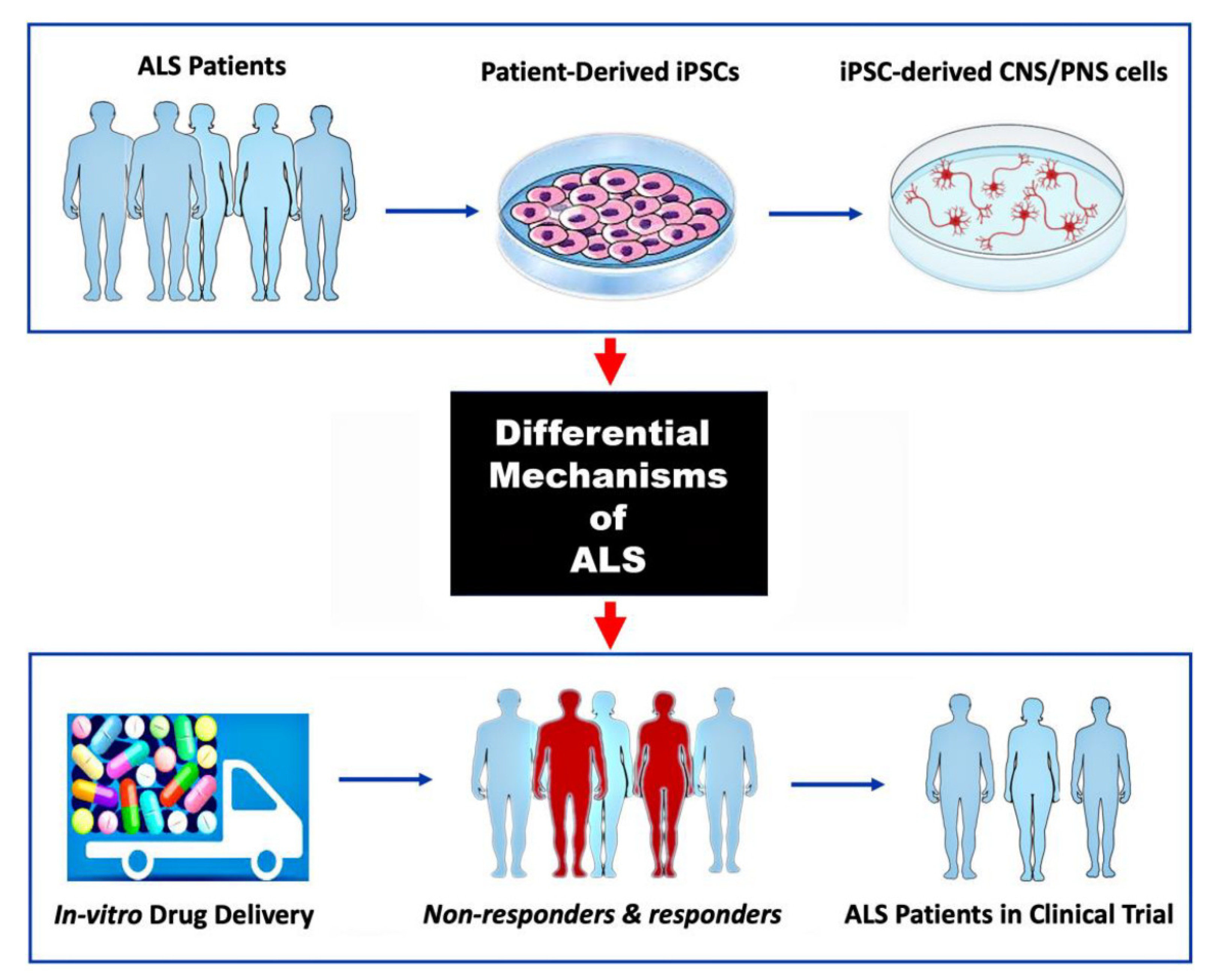 Preprints 141617 g003