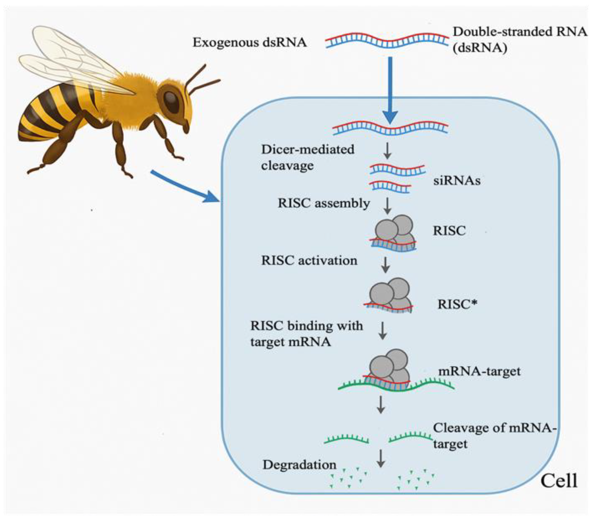 Preprints 210735 g001