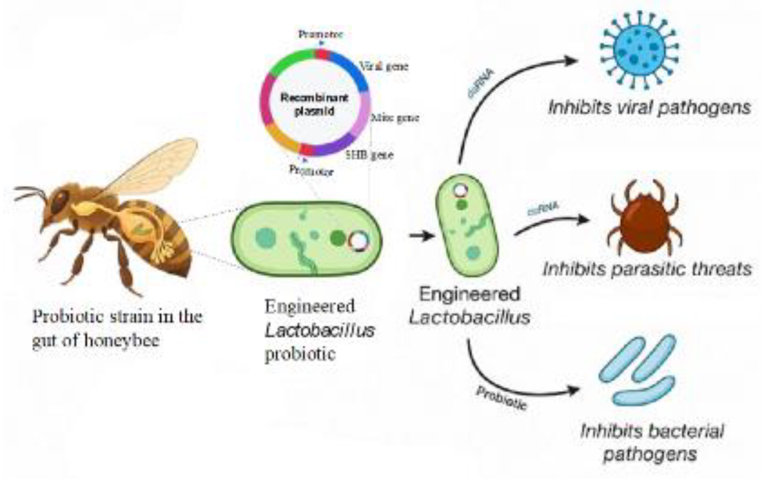 Preprints 210735 g002