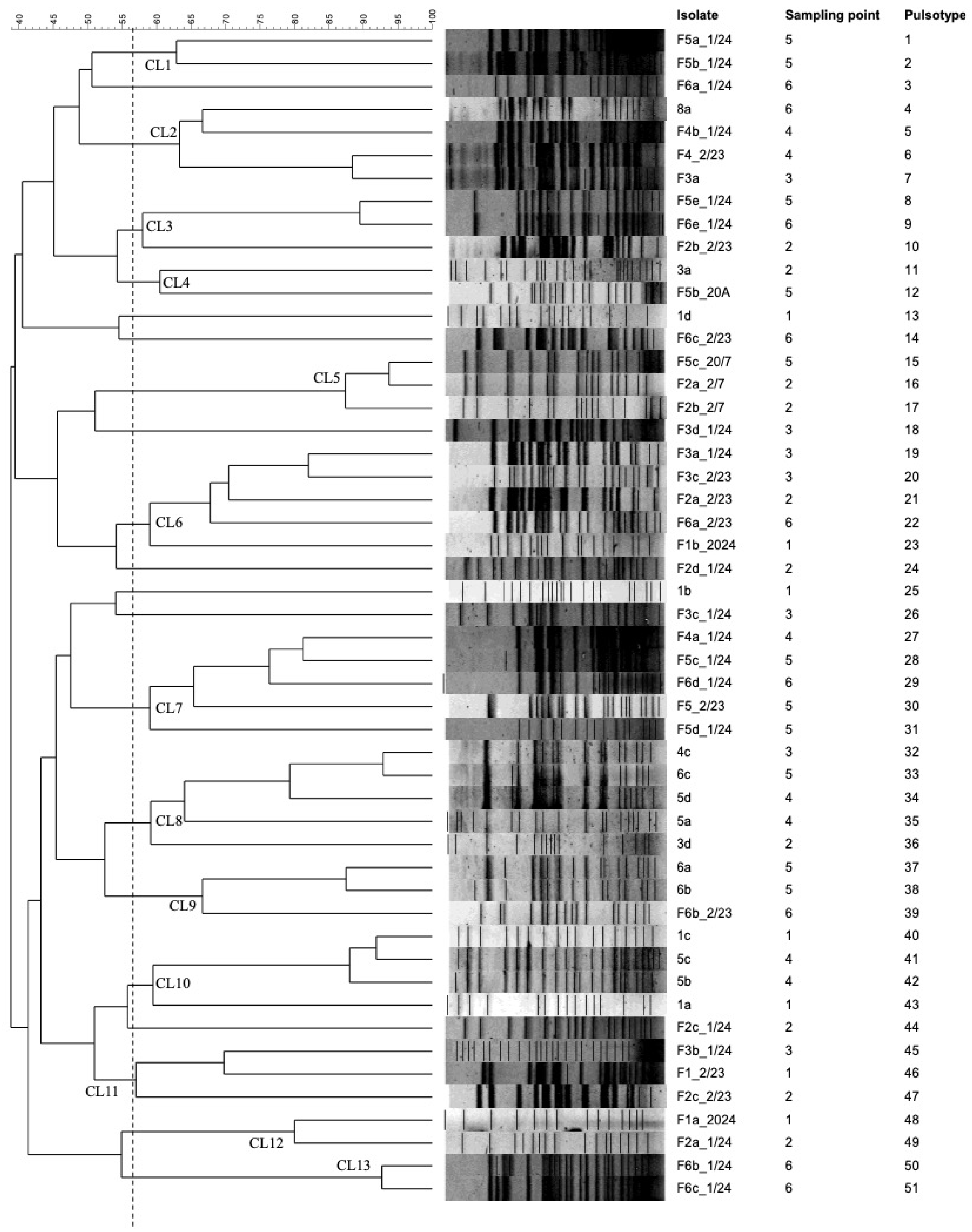 Preprints 208545 g004