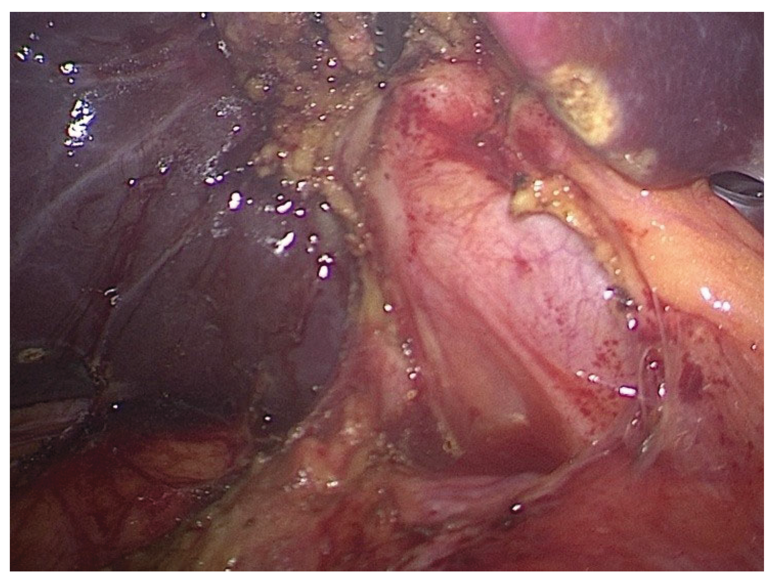 Preprints 184025 g003