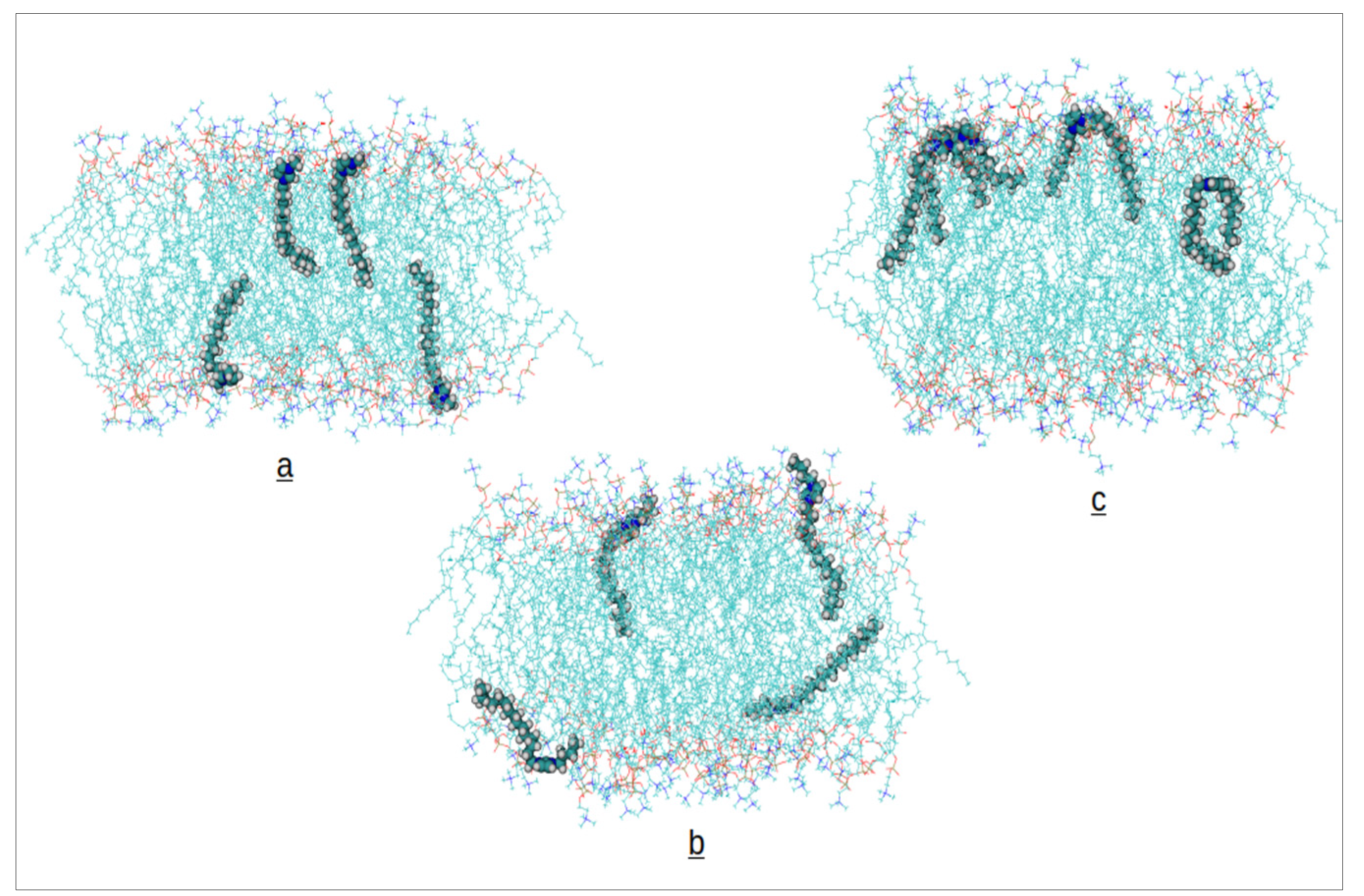 Preprints 163360 g002