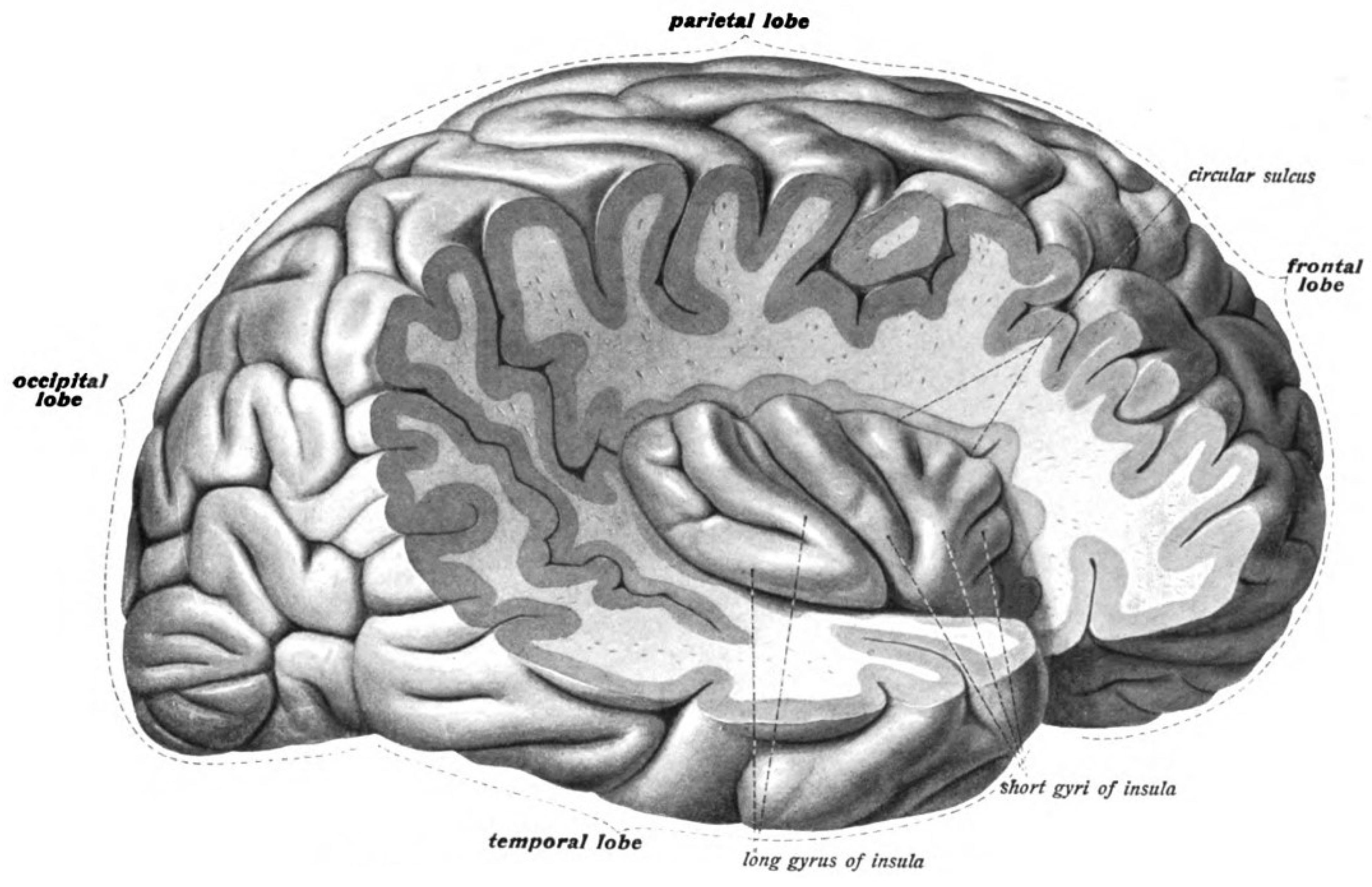 Preprints 100785 g001