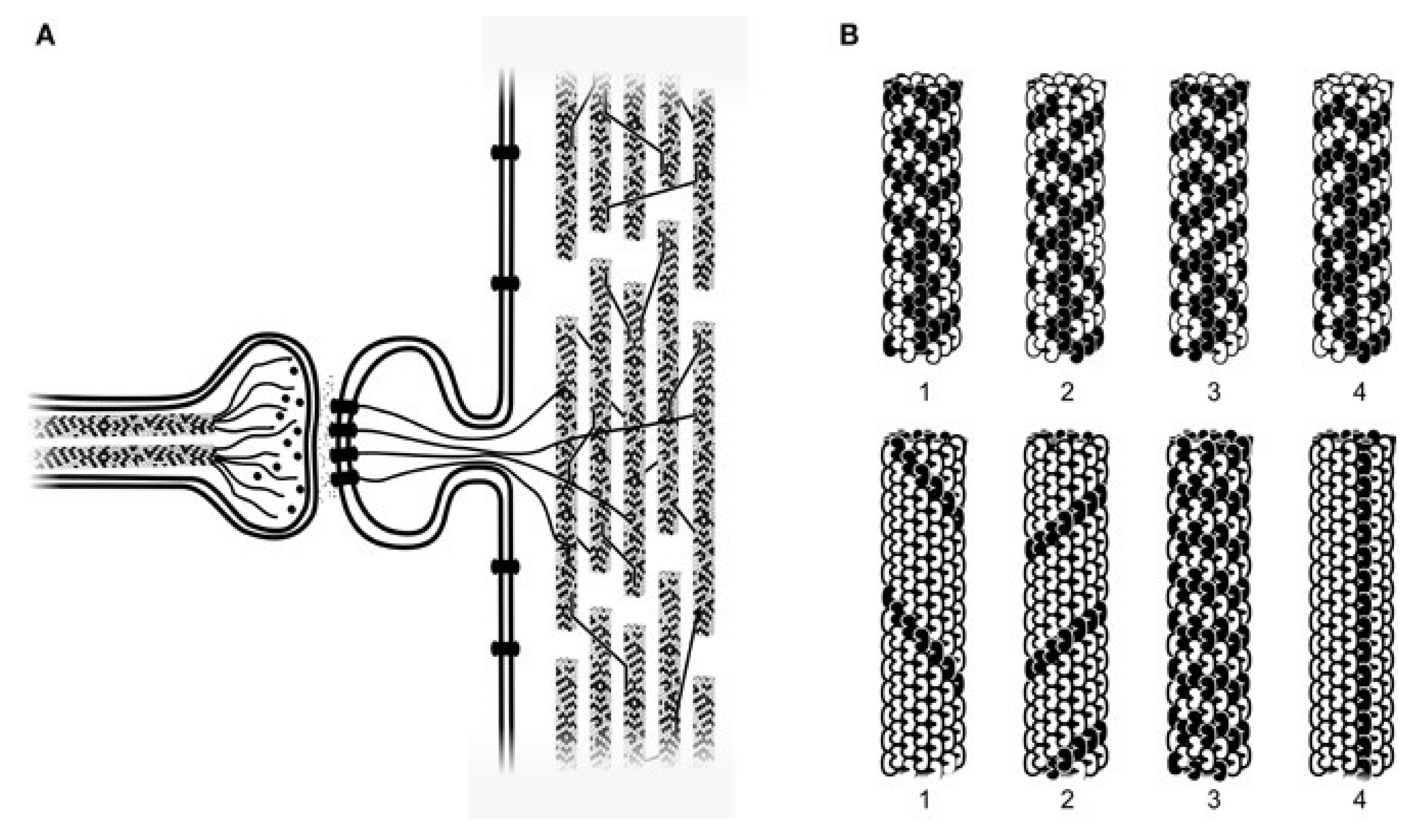 Preprints 100785 g002