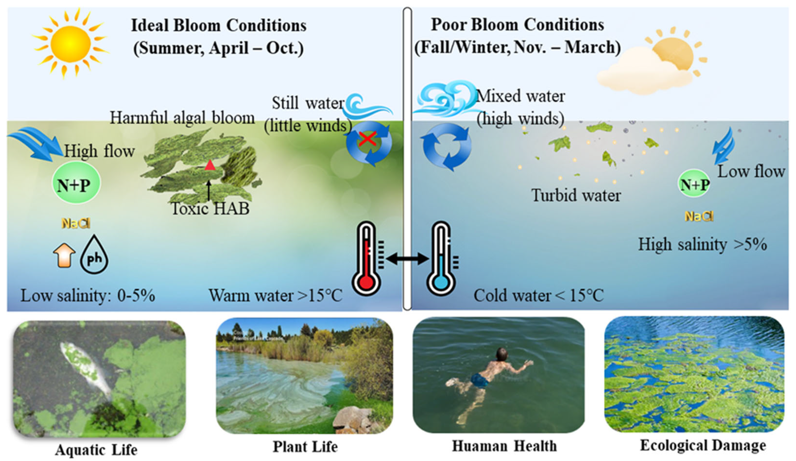 Preprints 171976 g002