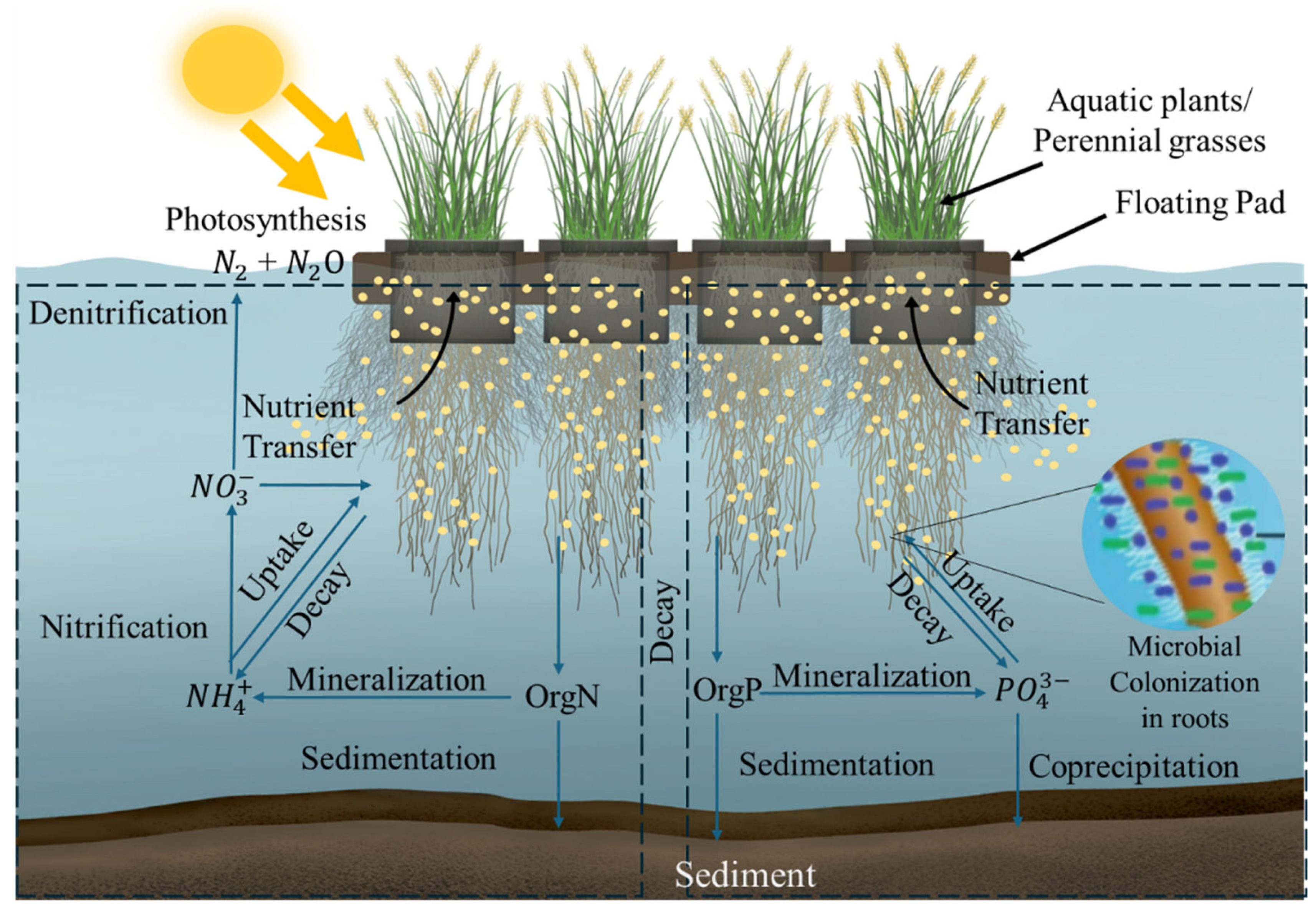 Preprints 171976 g004
