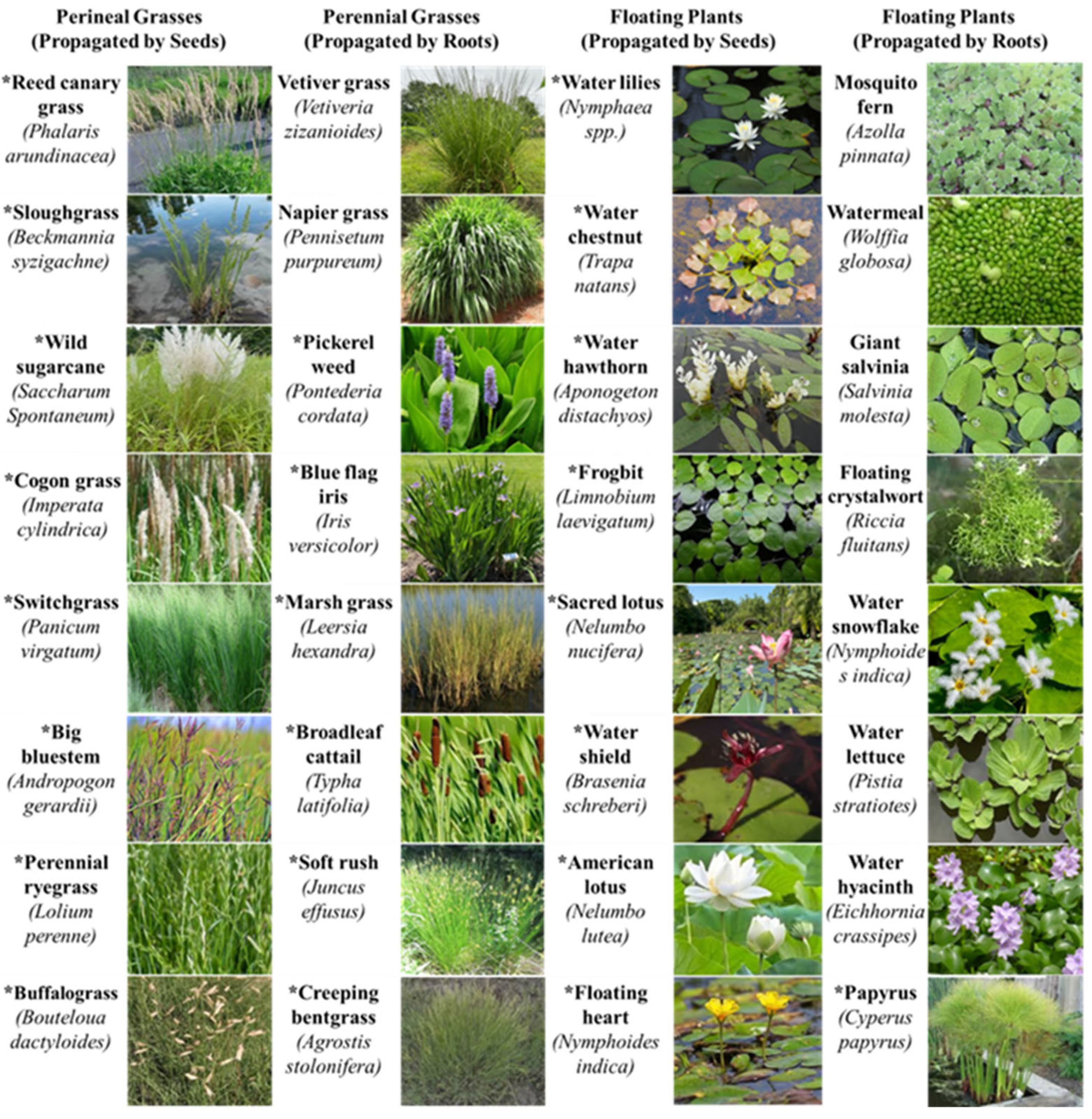 Preprints 171976 g005