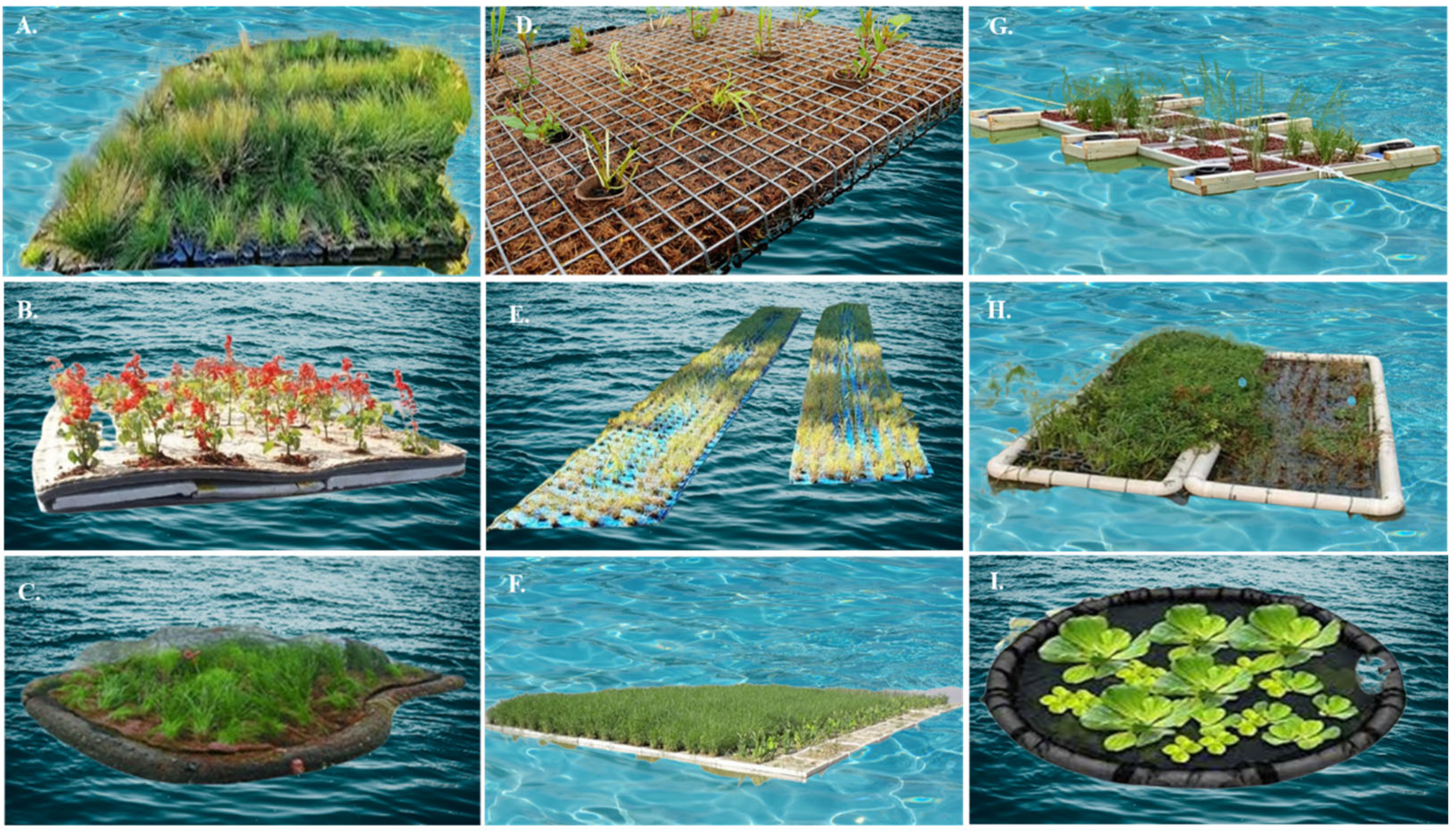 Preprints 171976 g006