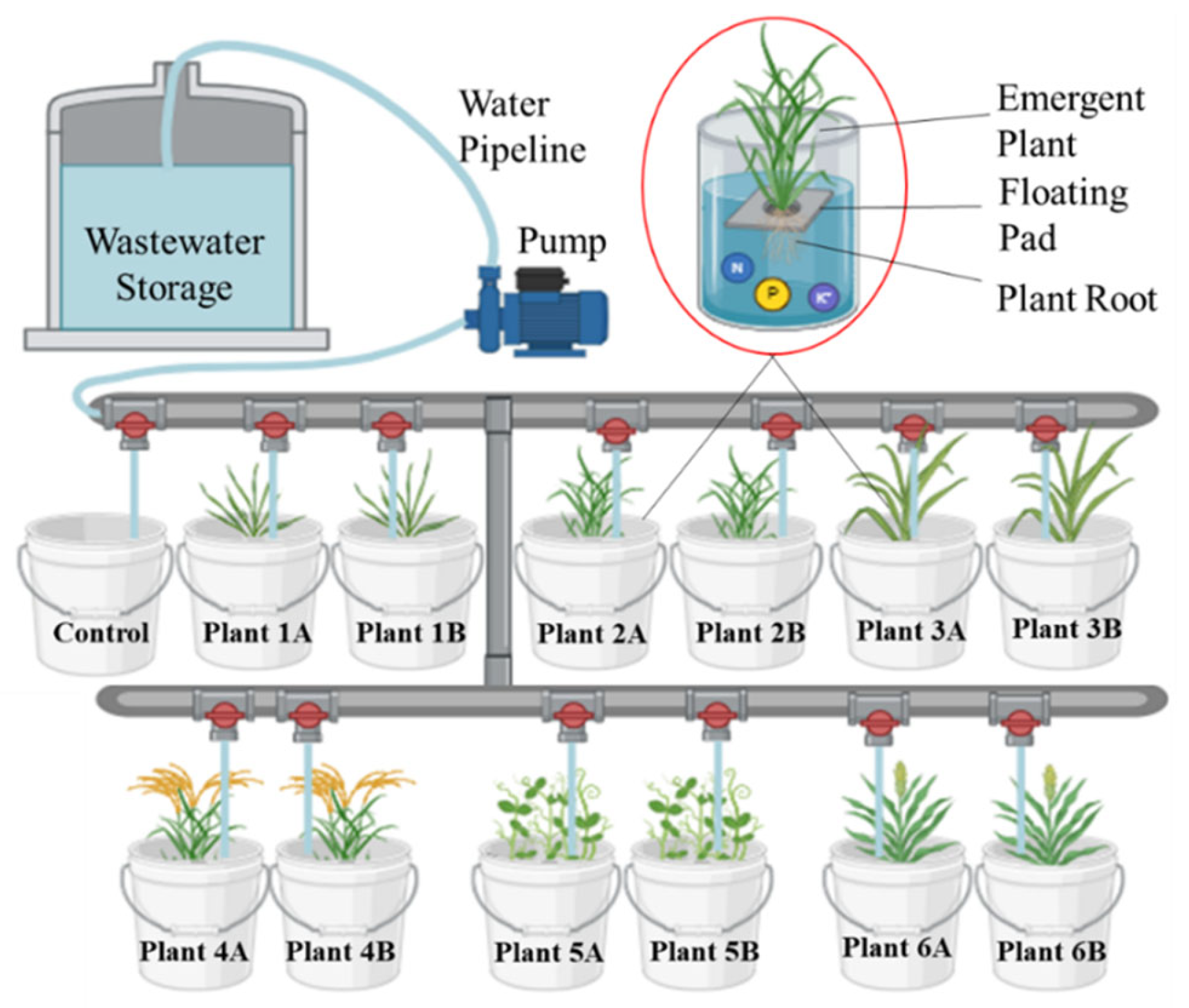 Preprints 171976 g007