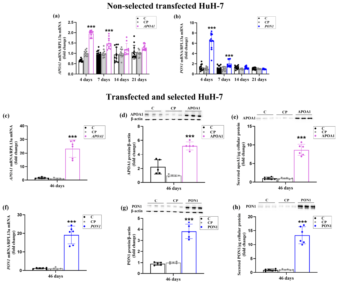 Preprints 217728 g001