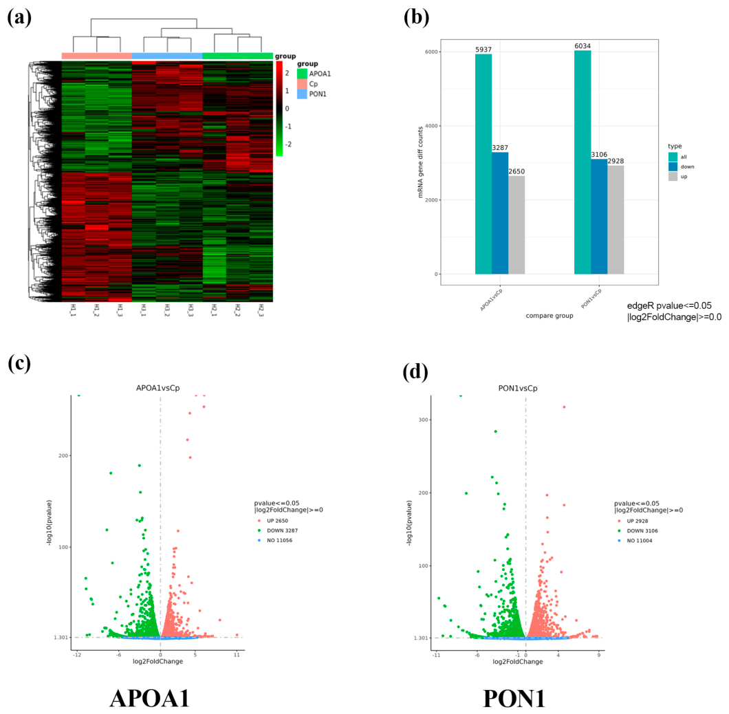 Preprints 217728 g002