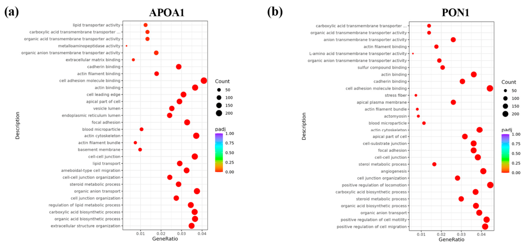 Preprints 217728 g003