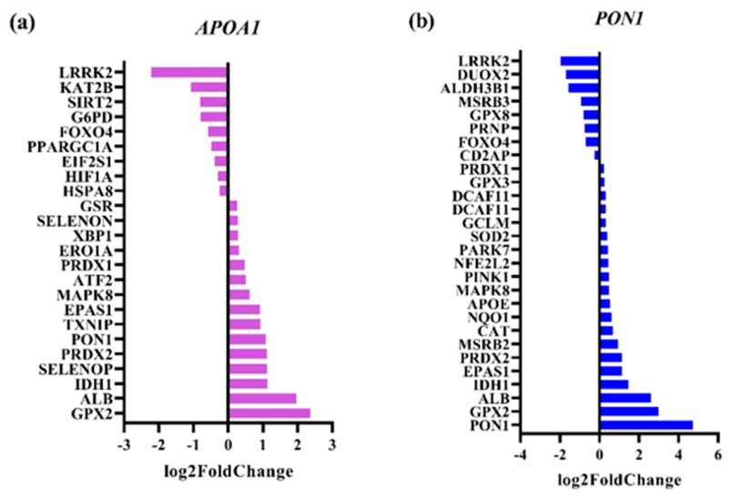 Preprints 217728 g004