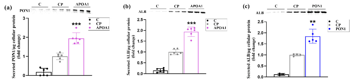 Preprints 217728 g005