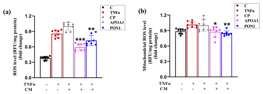 Preprints 217728 g006
