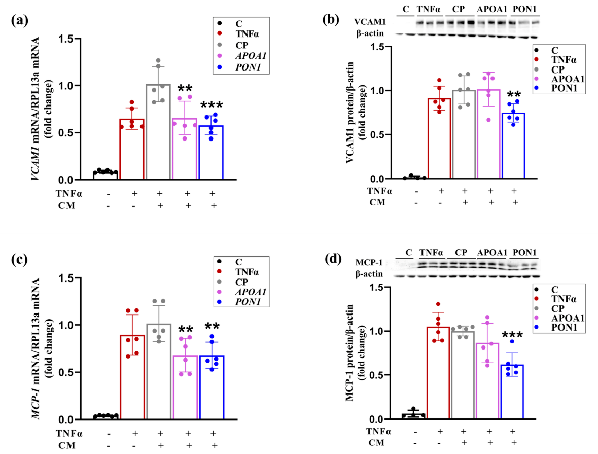 Preprints 217728 g007
