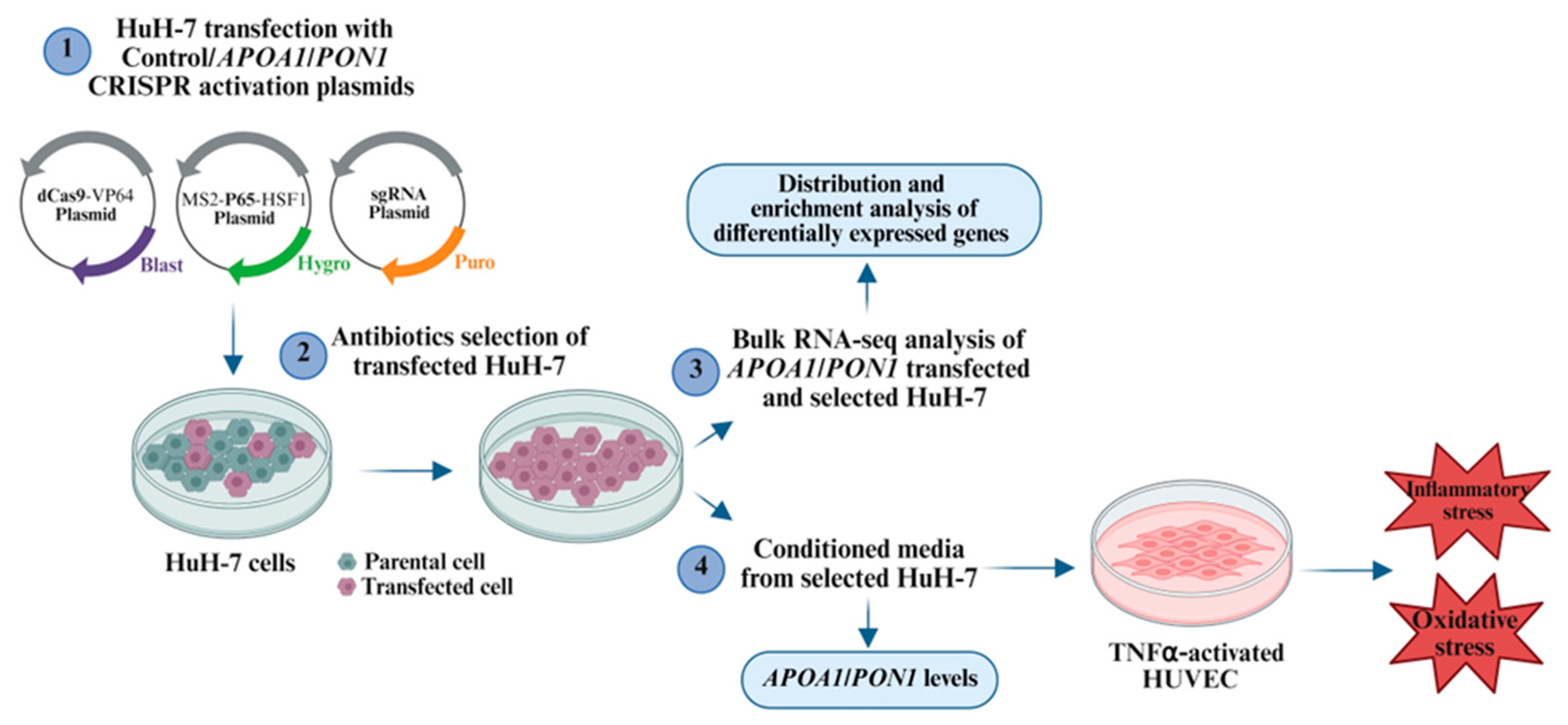 Preprints 217728 sch001