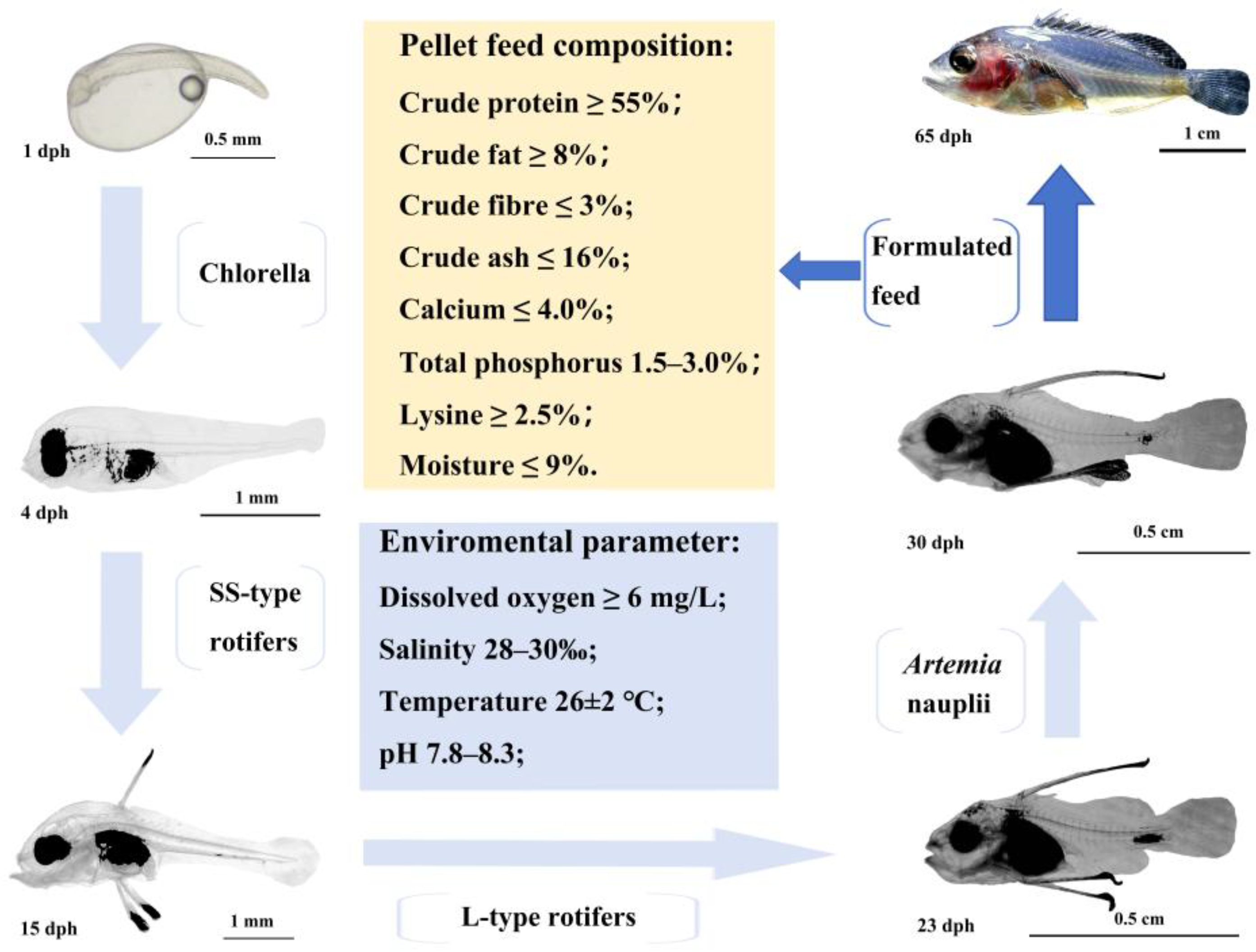 Preprints 182608 g001